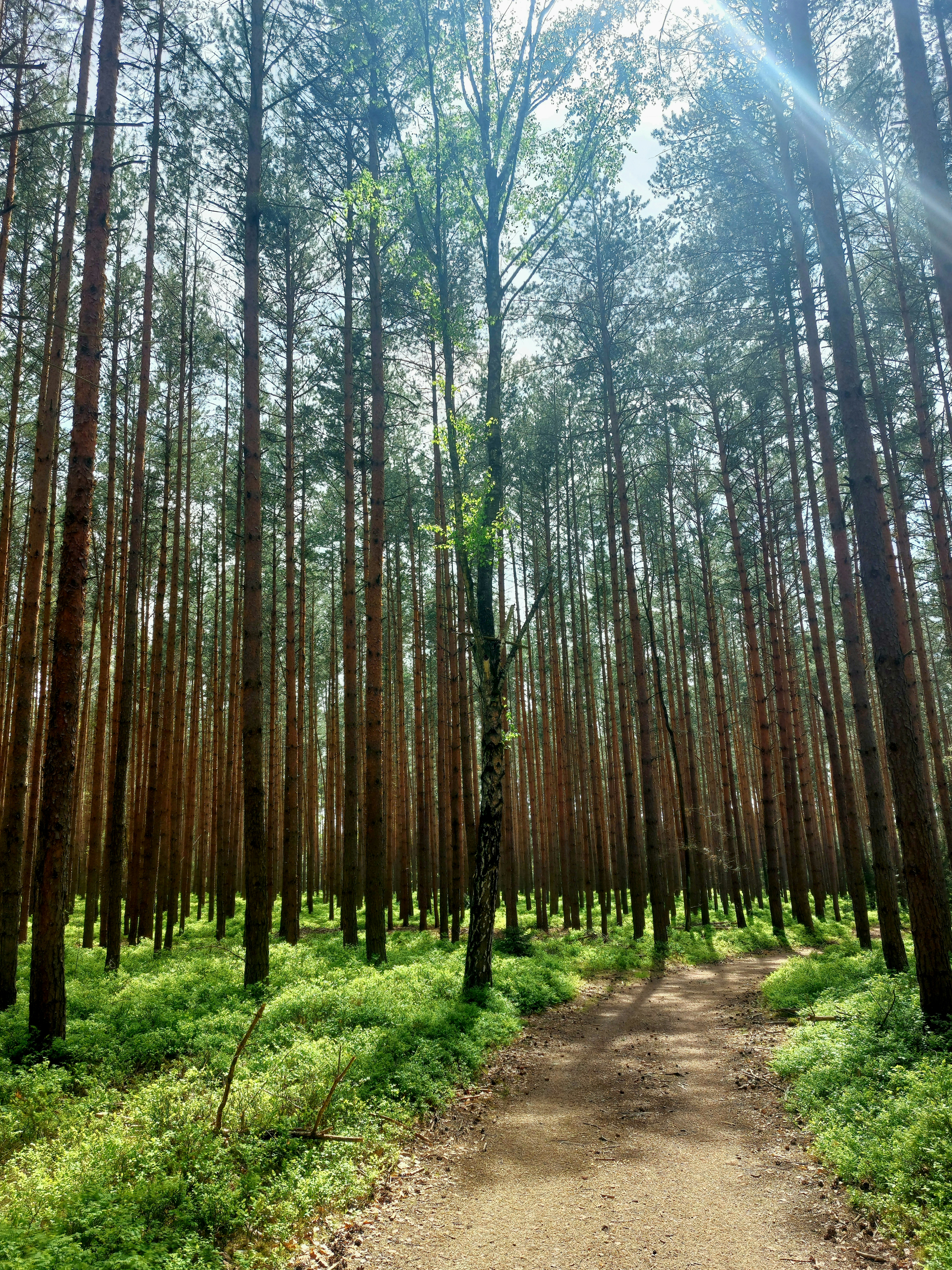 Photo by purple_iris