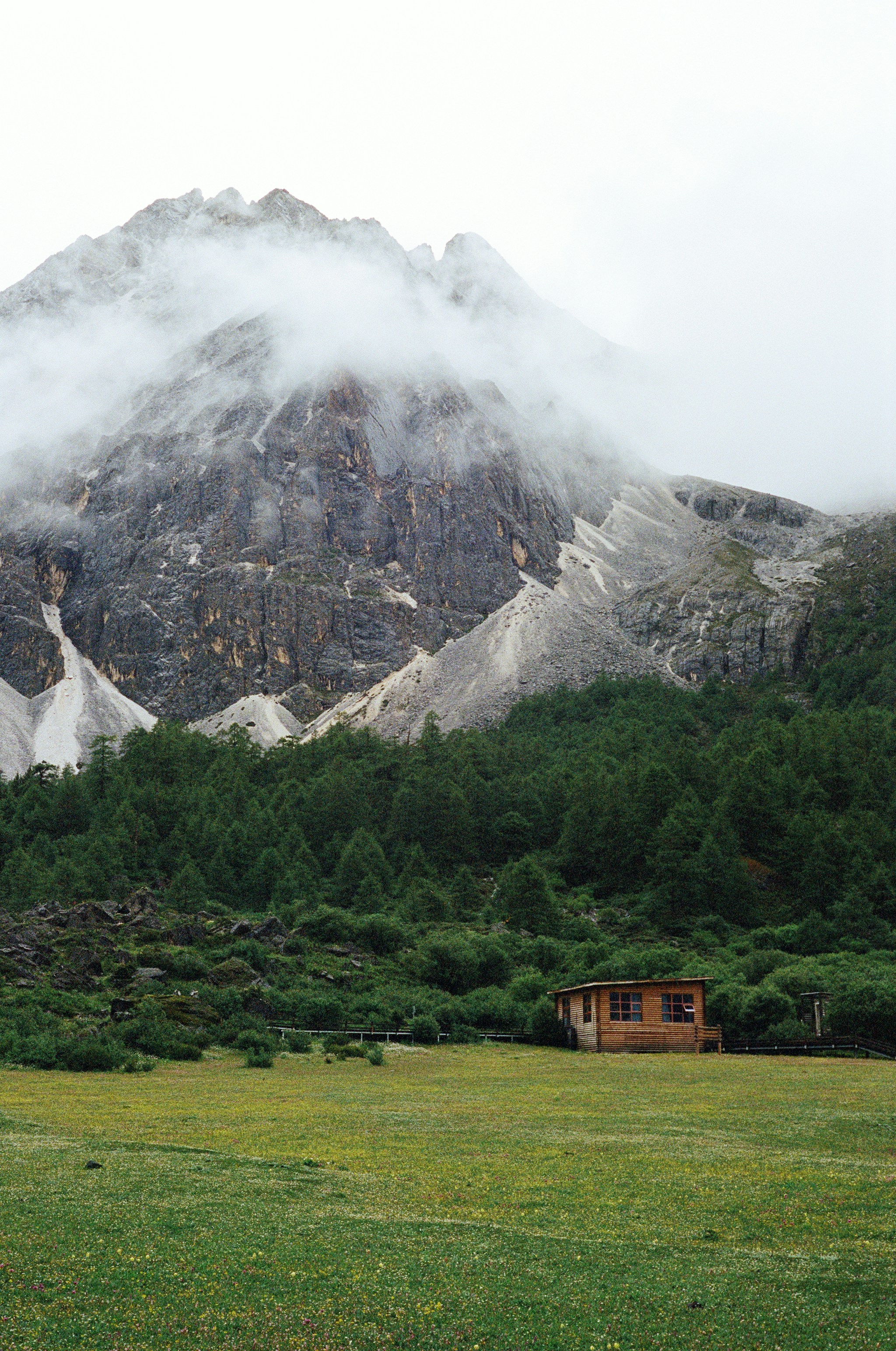 A small cabin in a field with a mountain in the background