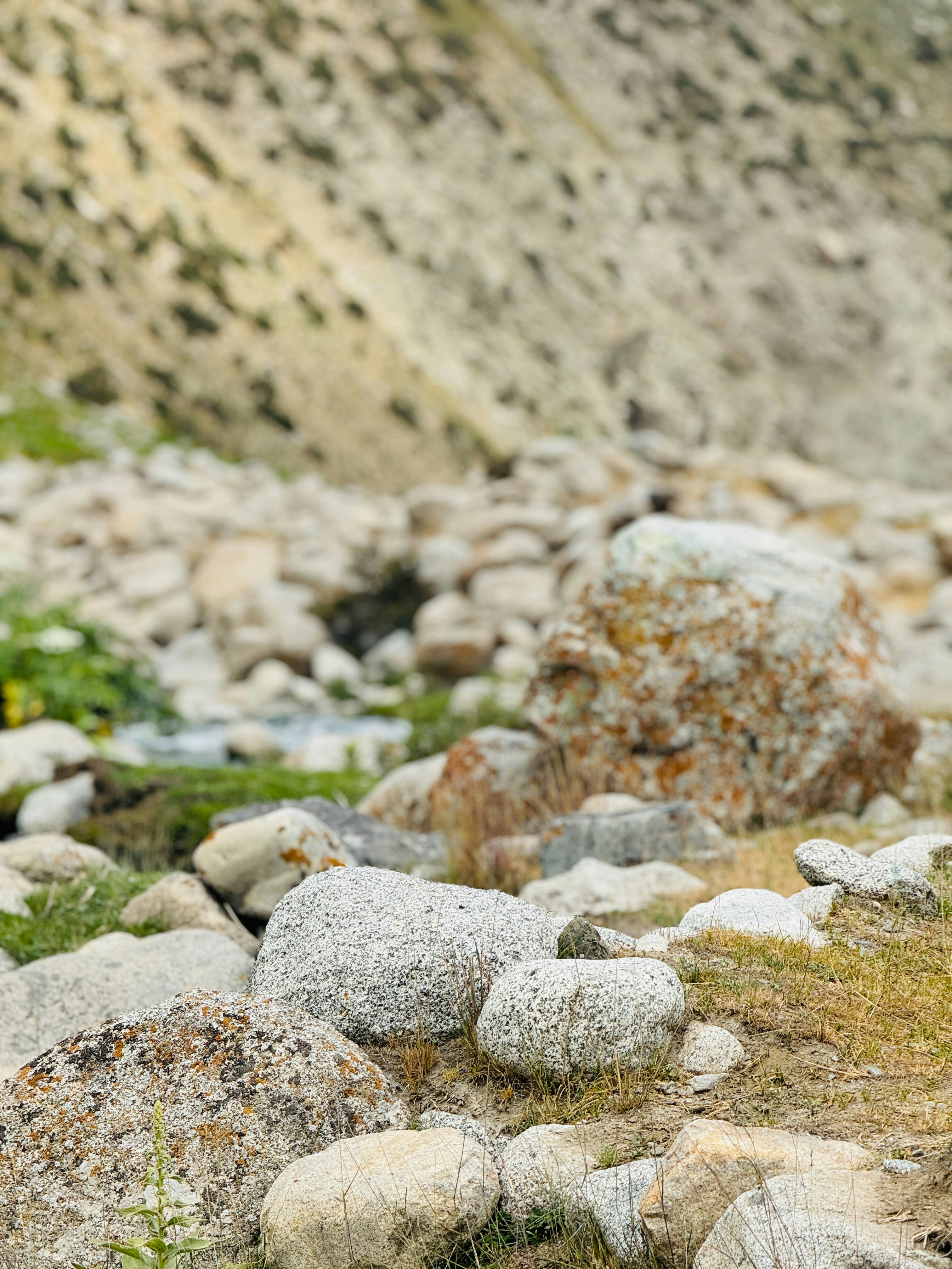 Photo by sebghatullah_moid