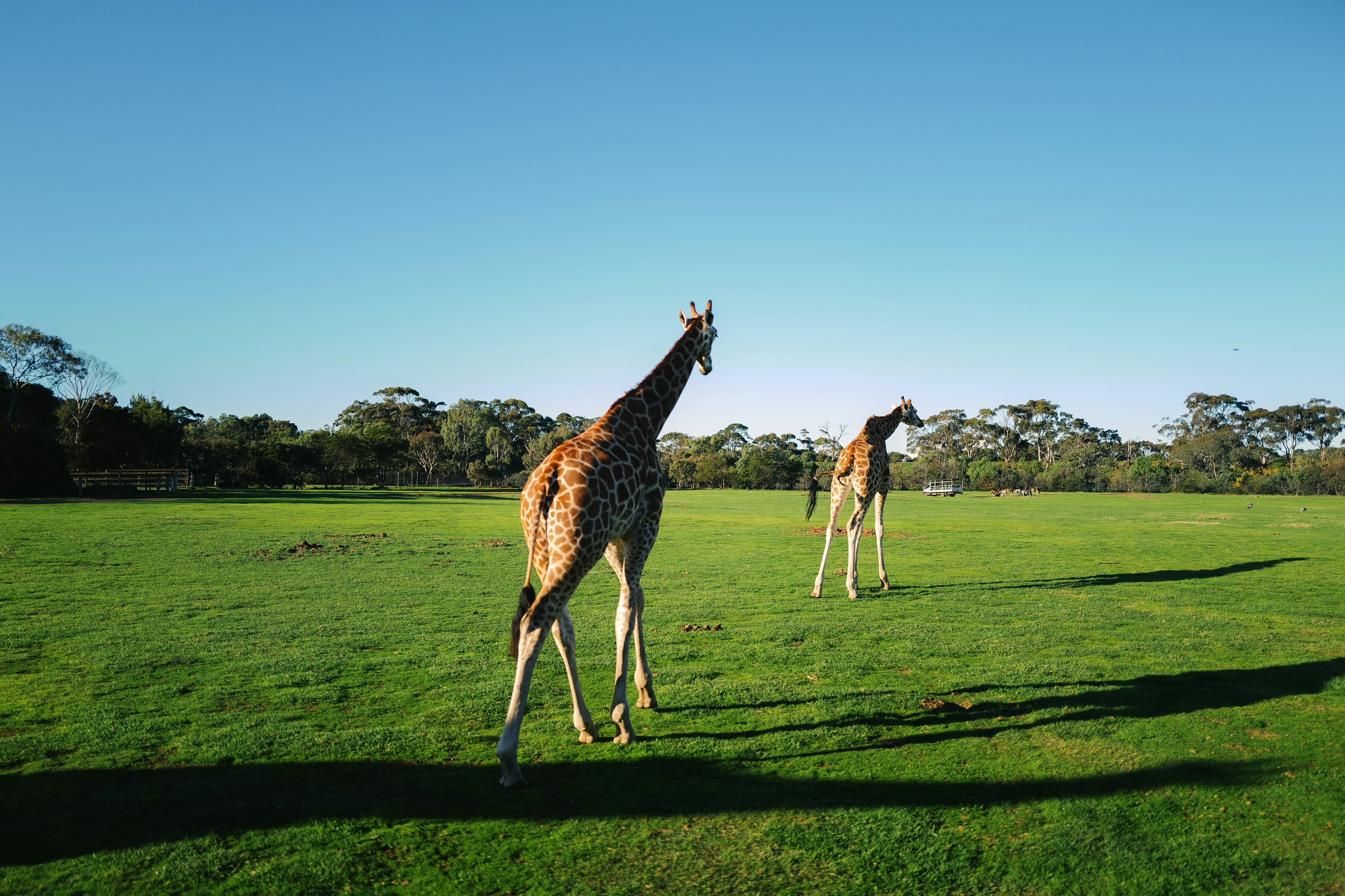 Maru Koala and Animal Park - Photo 3