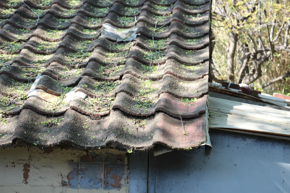 Asphalt roof half cleaned showing the difference after a soft wash