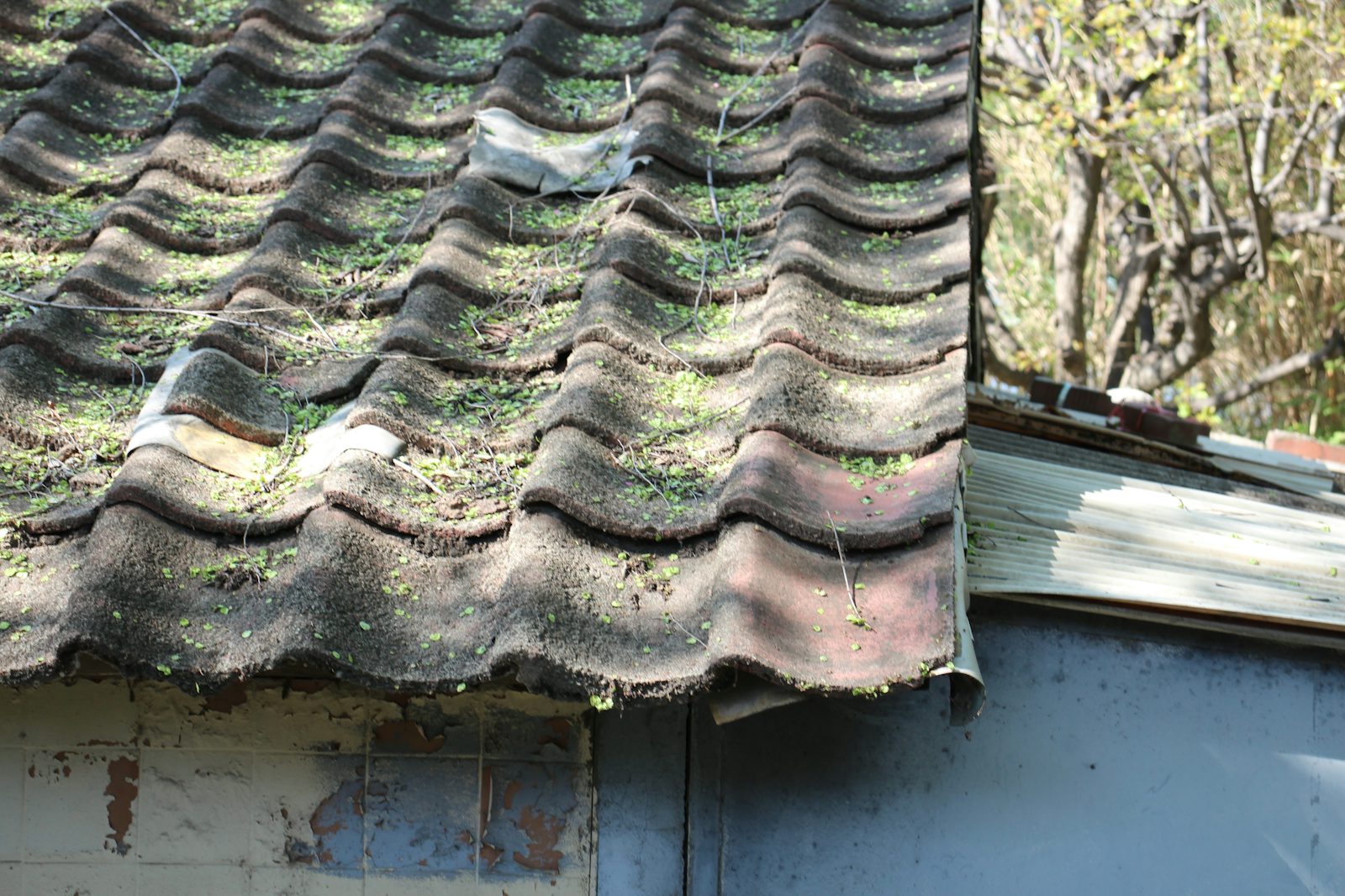 Storm damage to a residential roof