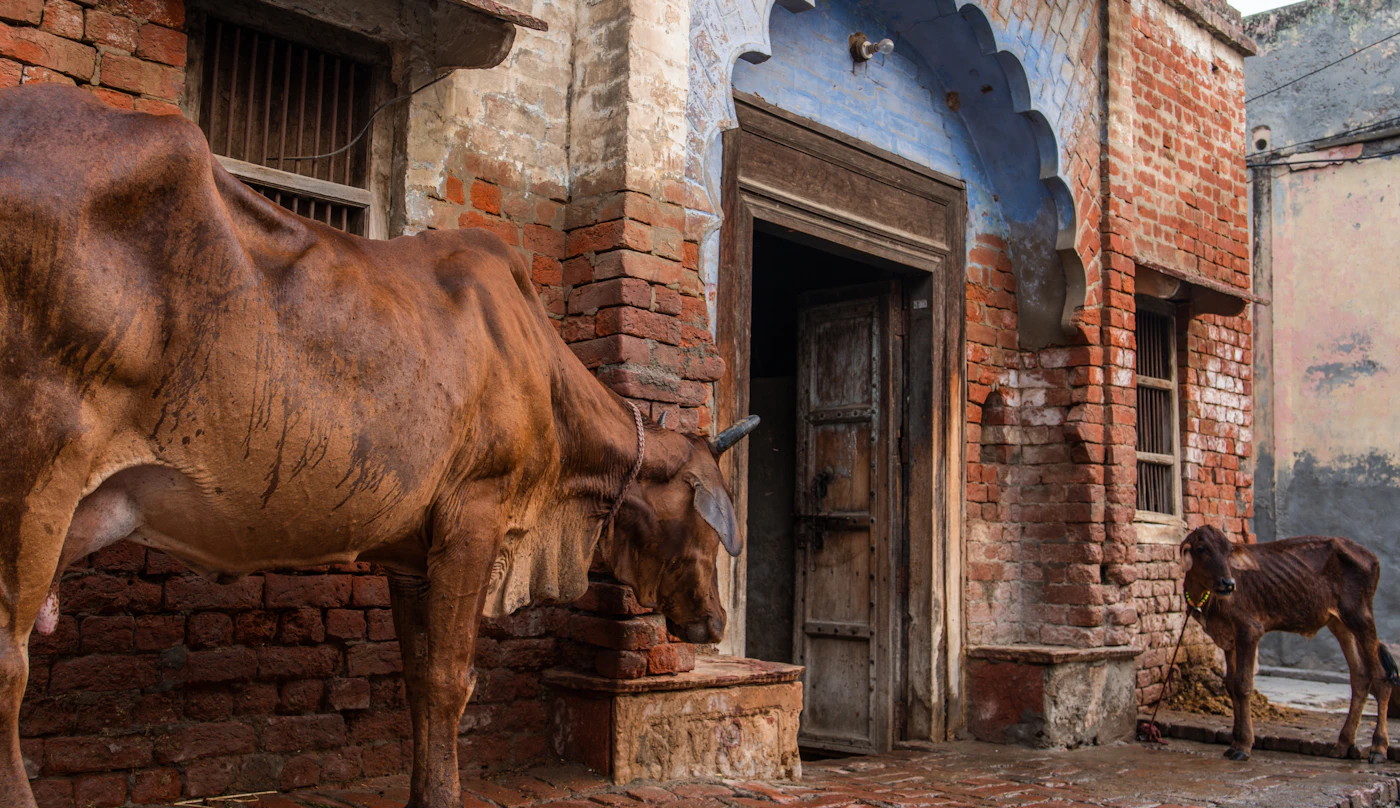 Rohtak