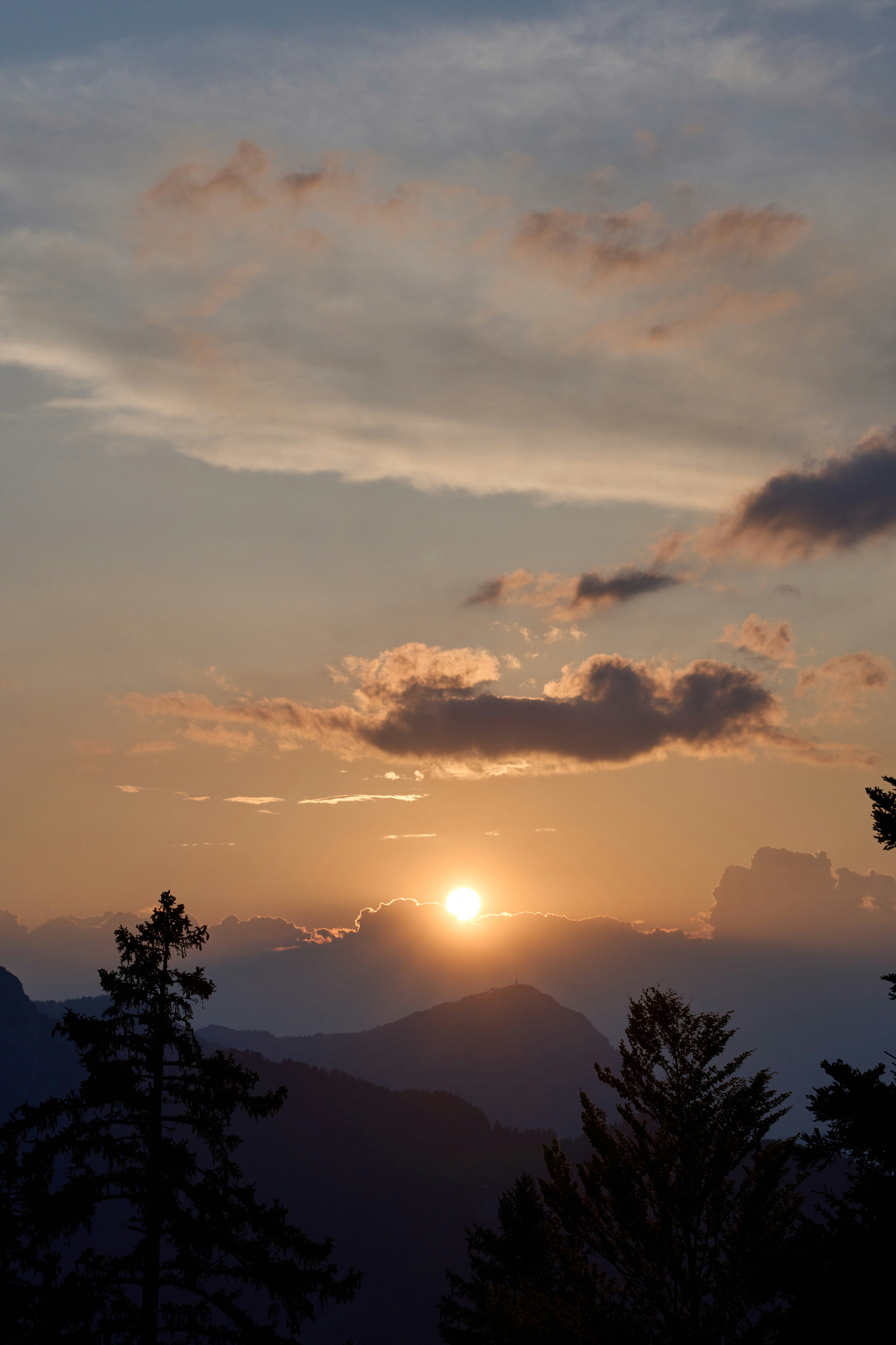 Photo by wolfgang_hasselmann