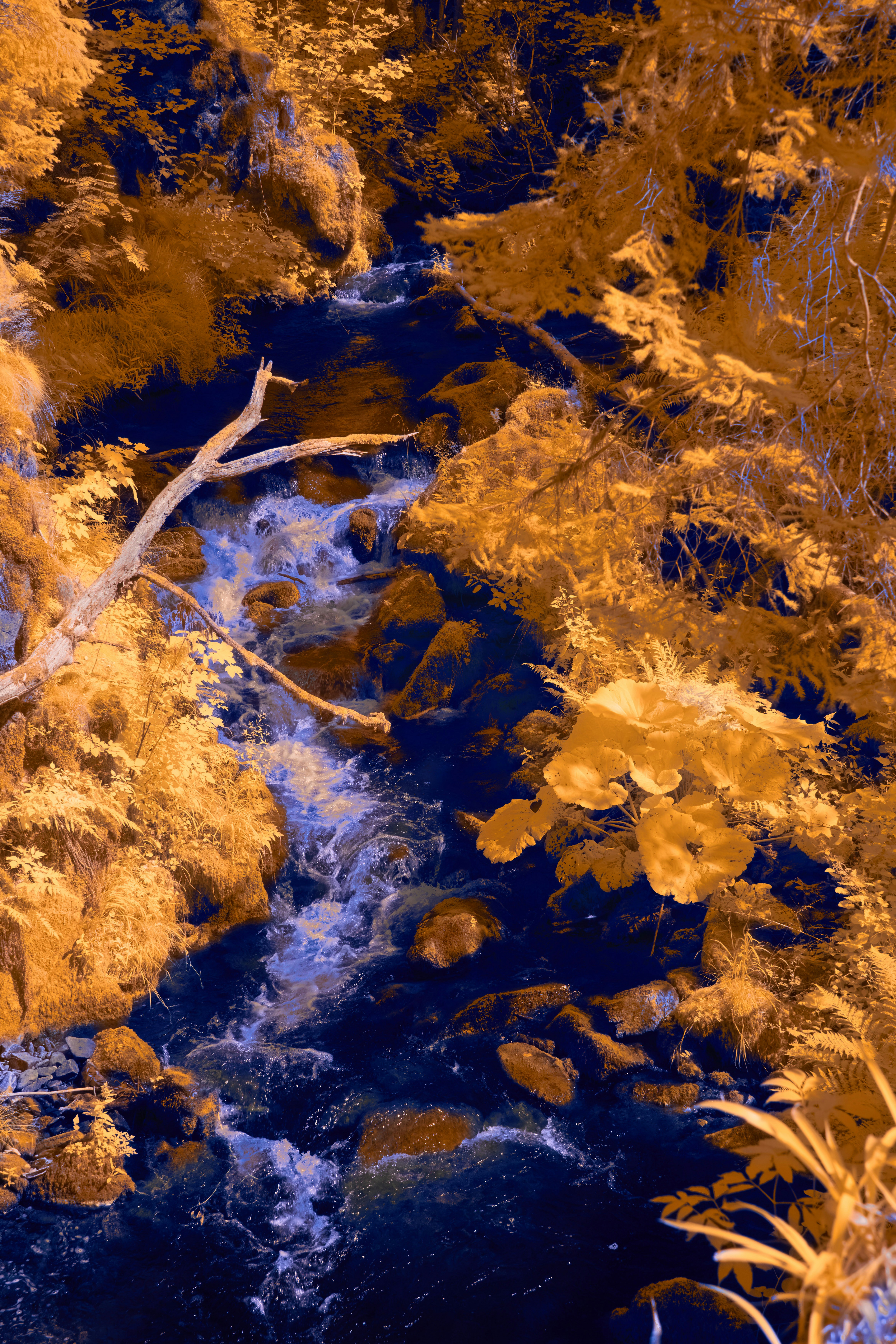 Photo by wolfgang_hasselmann