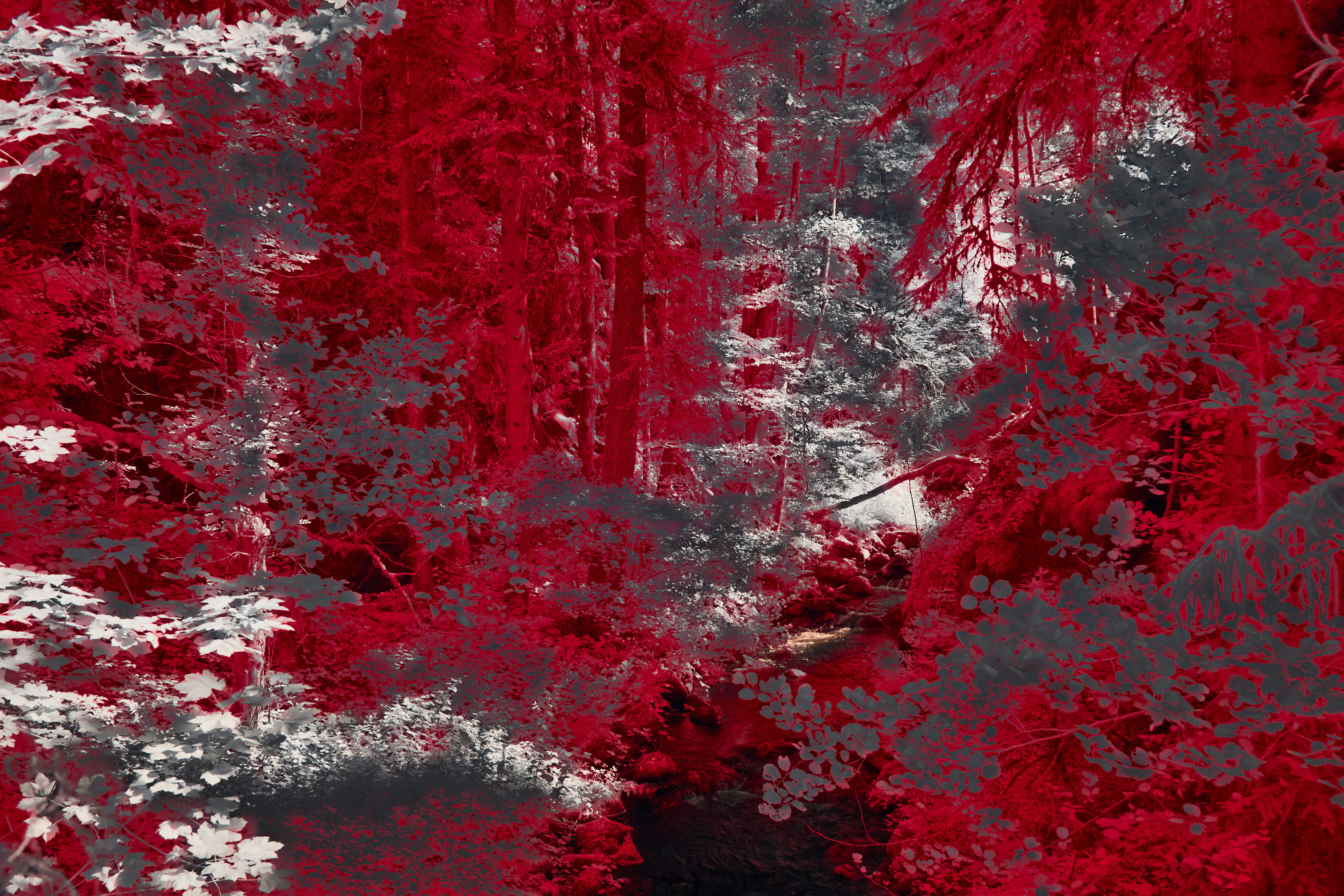 Photo by wolfgang_hasselmann