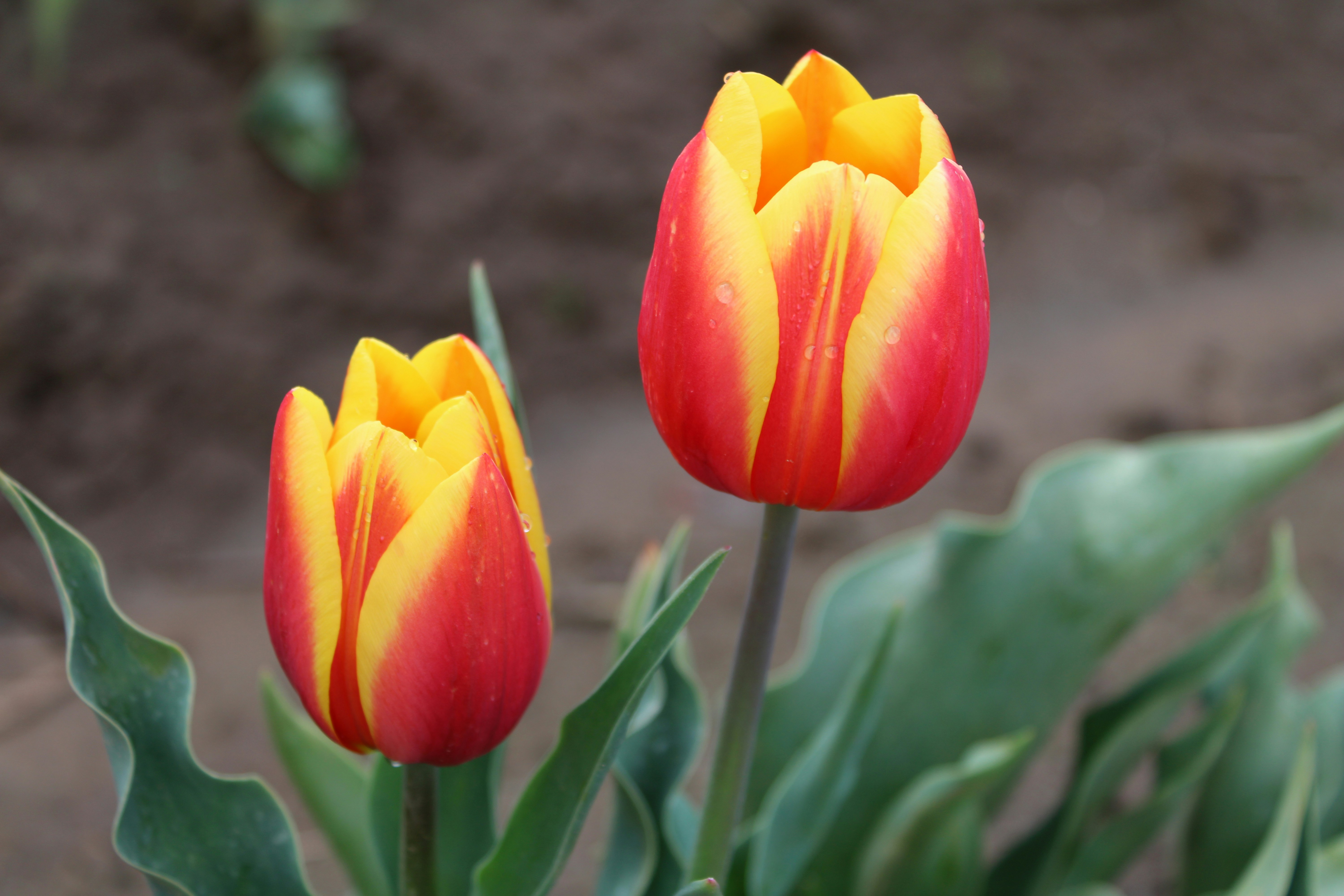 Photo by joleajouneys521