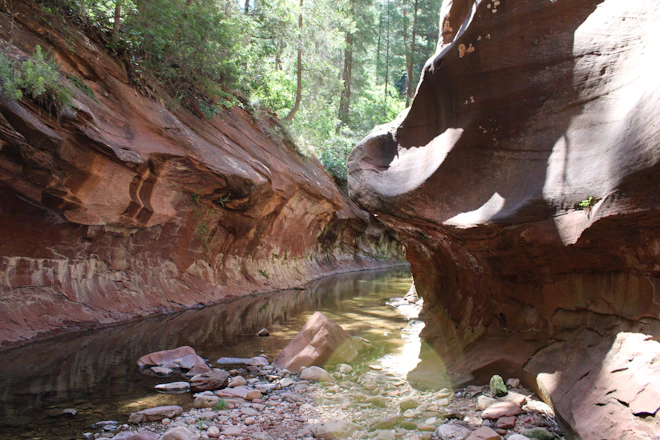 A river running through a canyon next to a forest