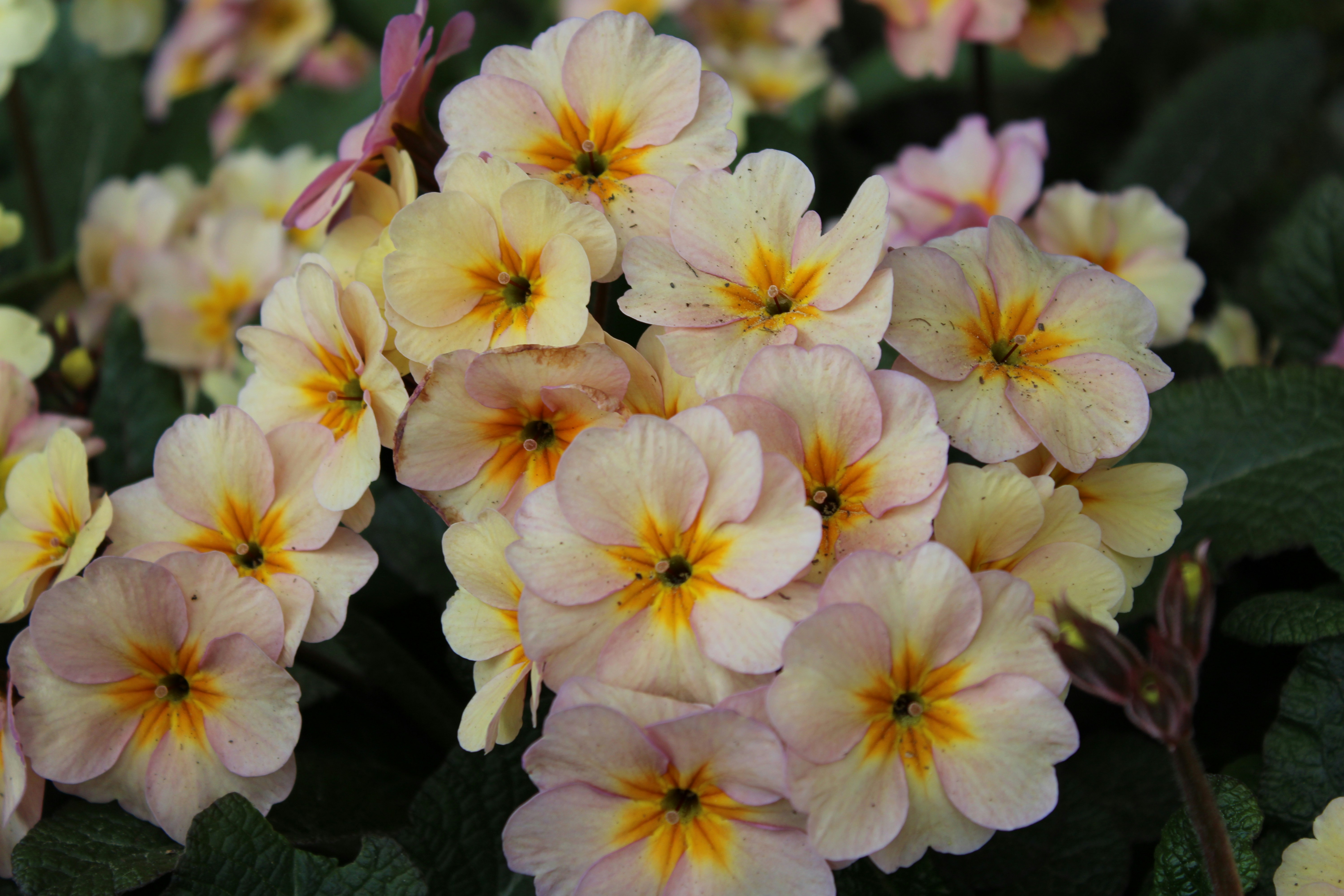 Photo by joleajouneys521