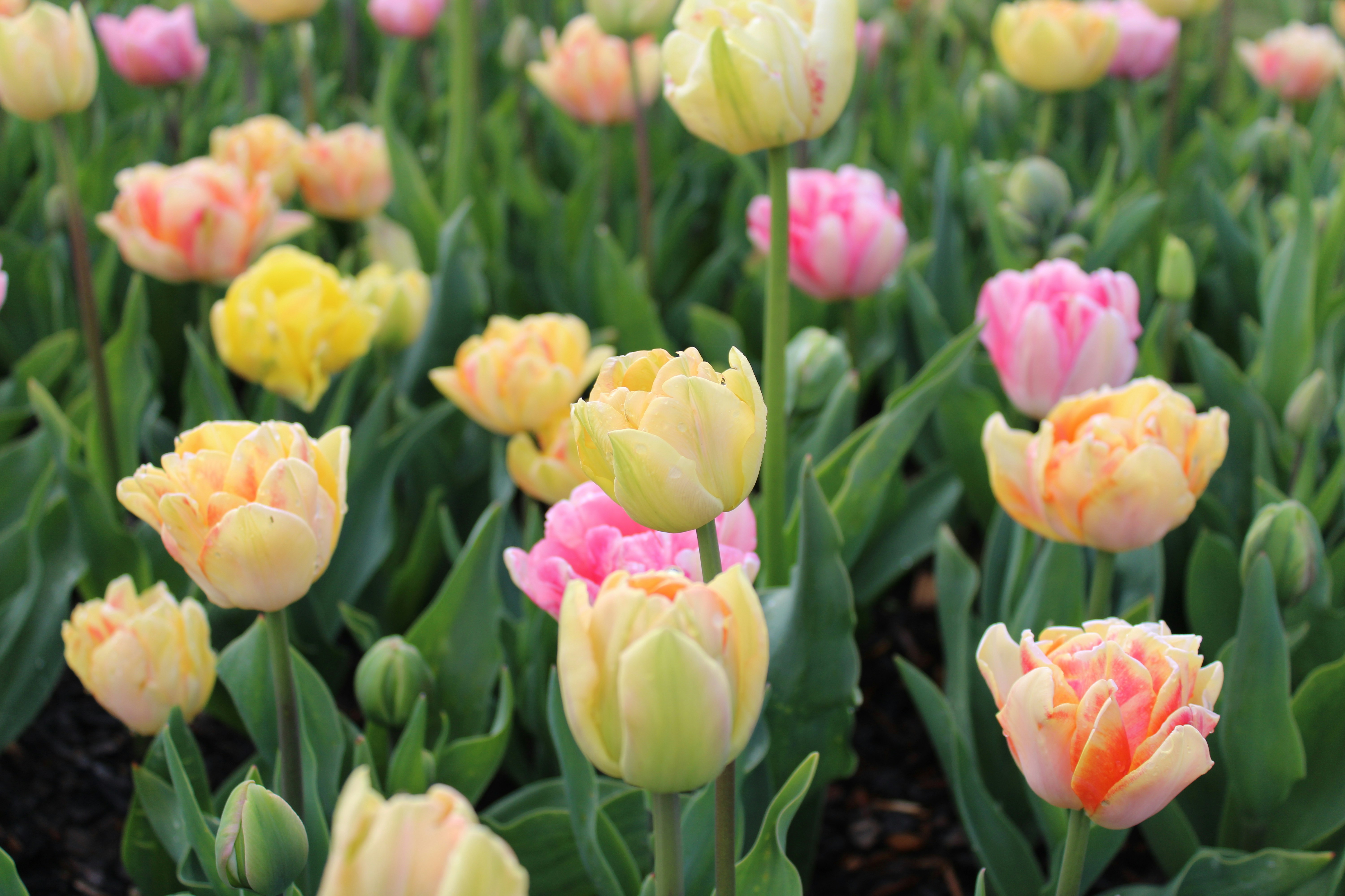 Photo by joleajouneys521