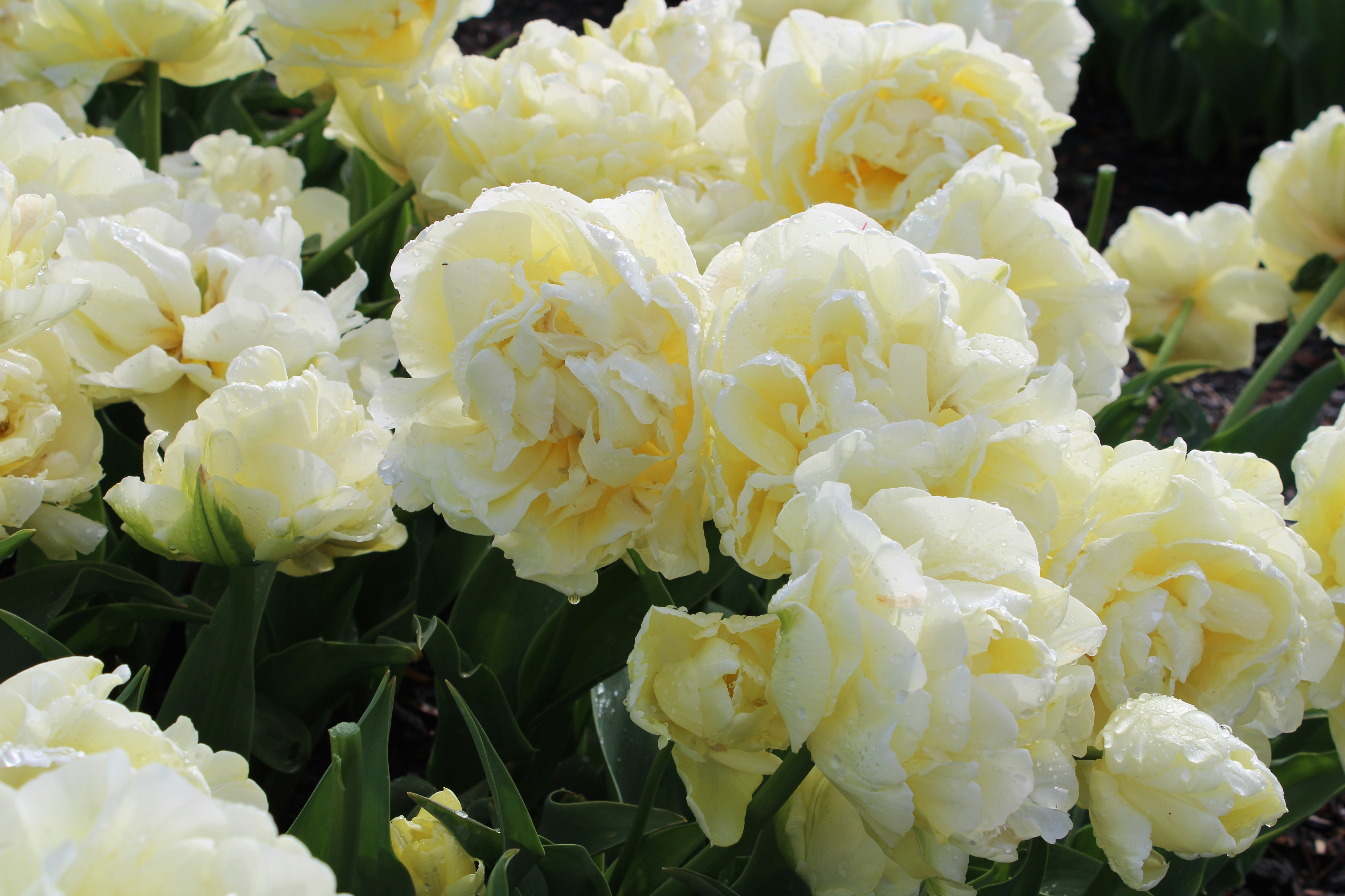 Photo by joleajouneys521