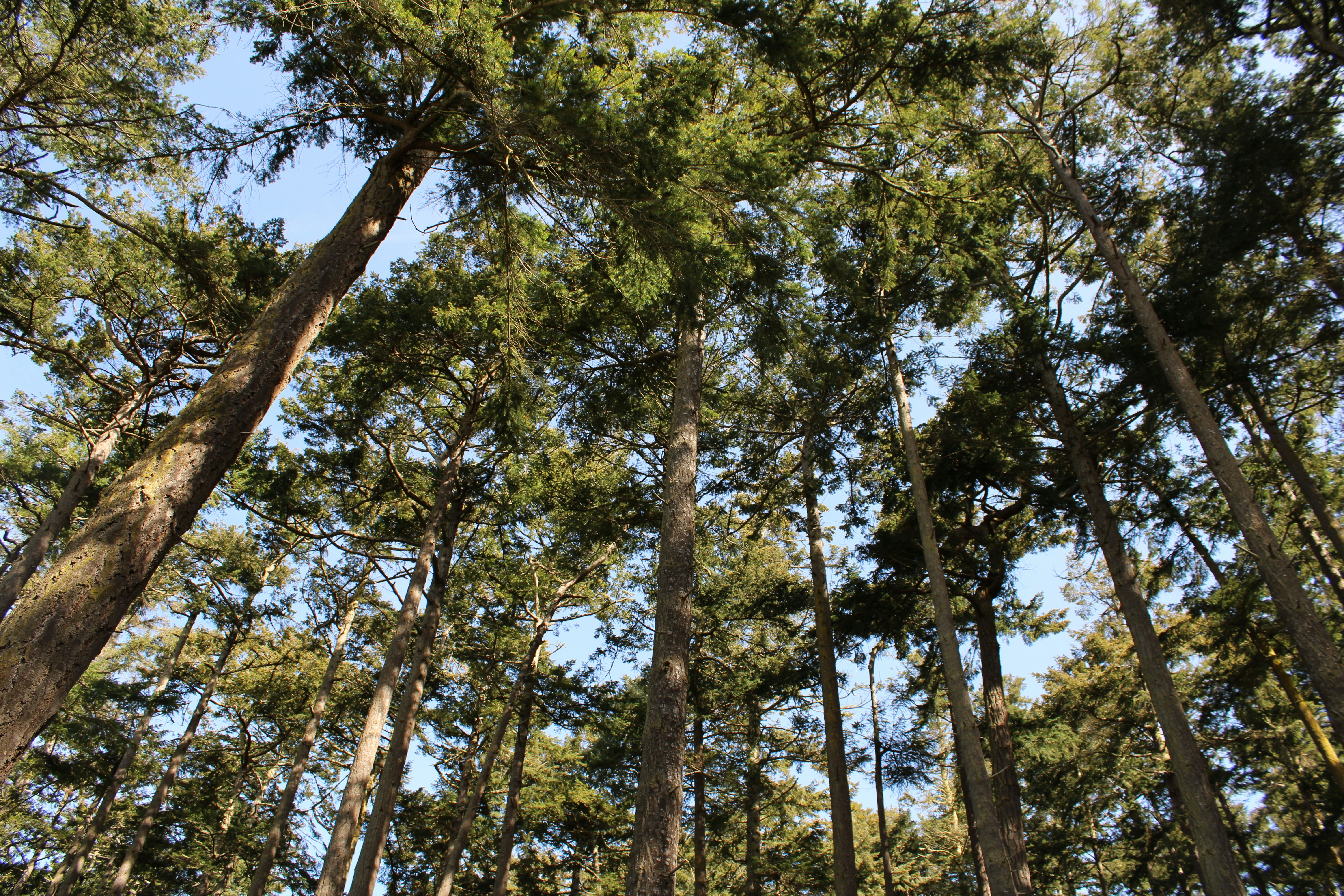 Photo by joleajouneys521