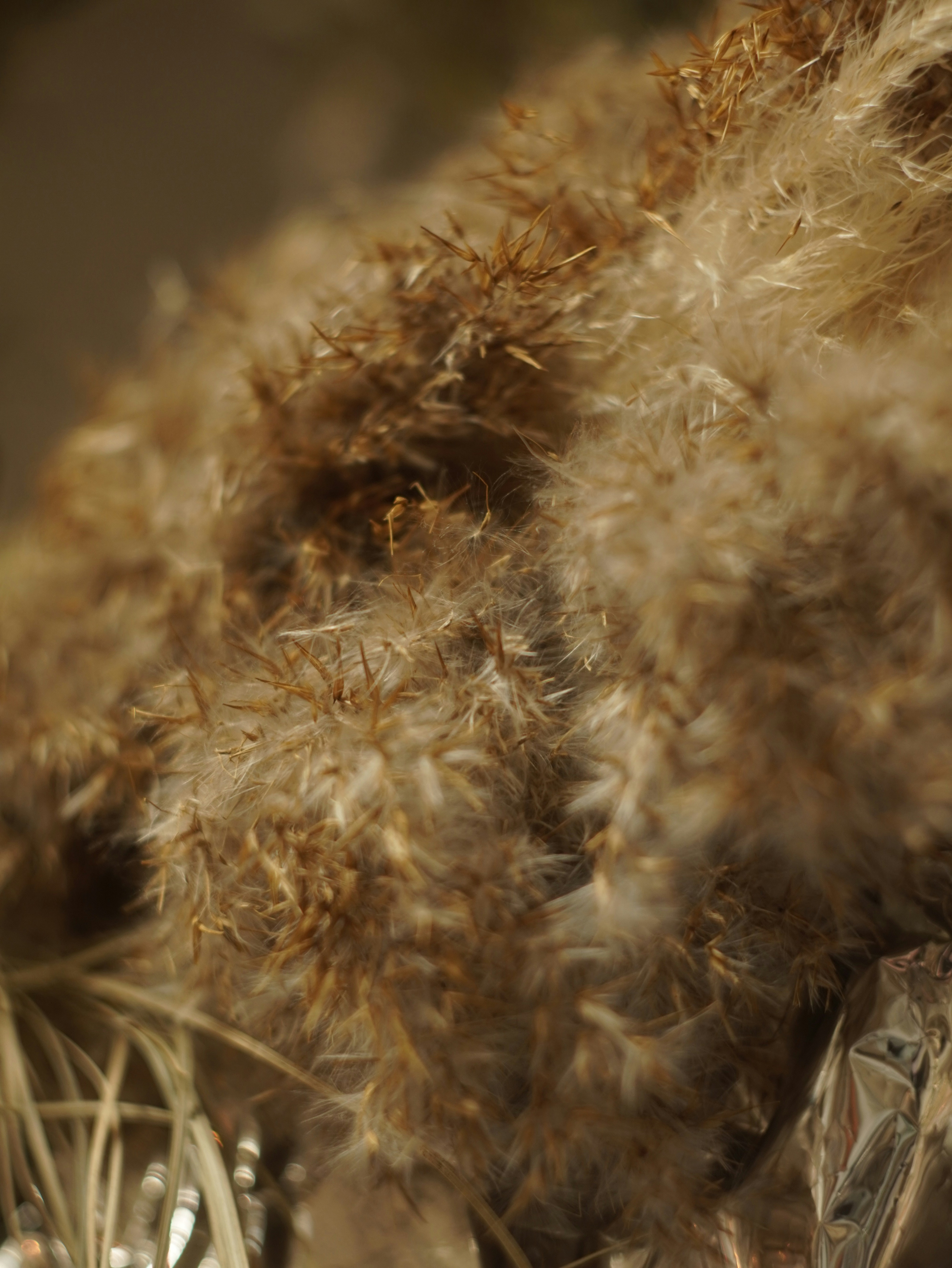 A close up of a teddy bear with a blurry background