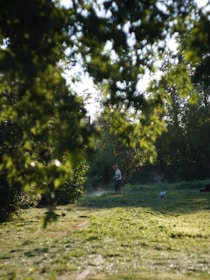 Two people are walking through a grassy field