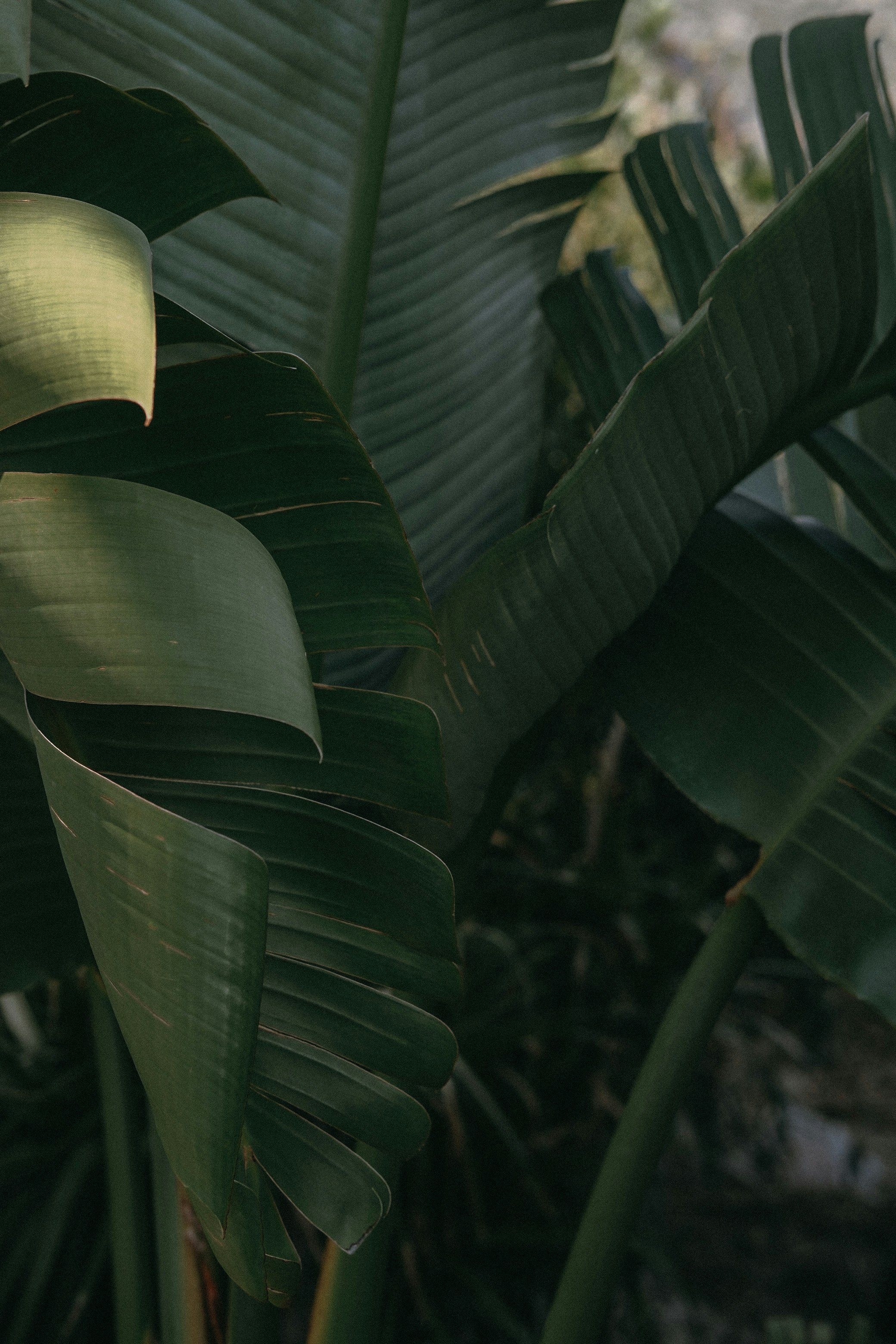 Photo by annatimoshkina