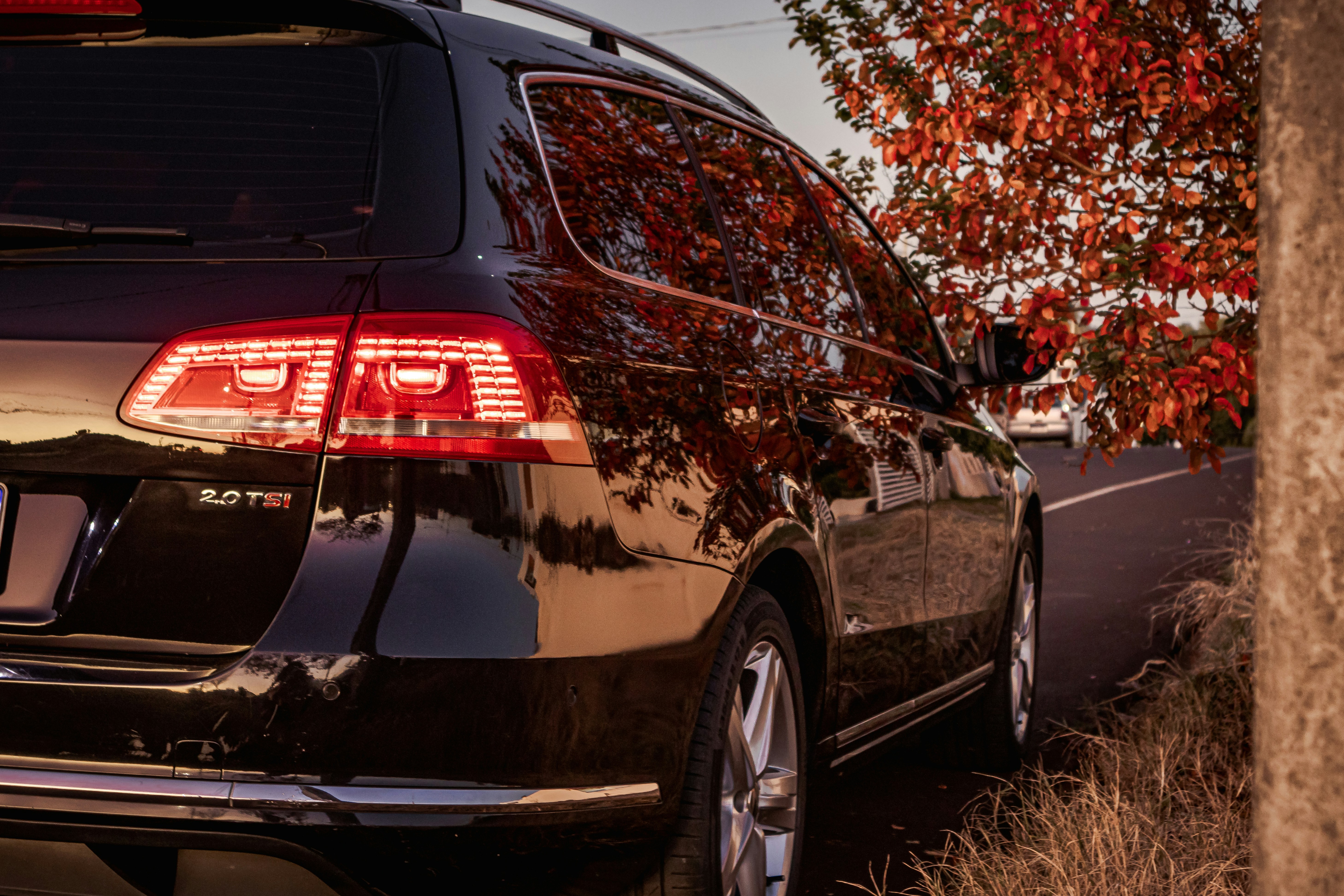 Photo by caioportela