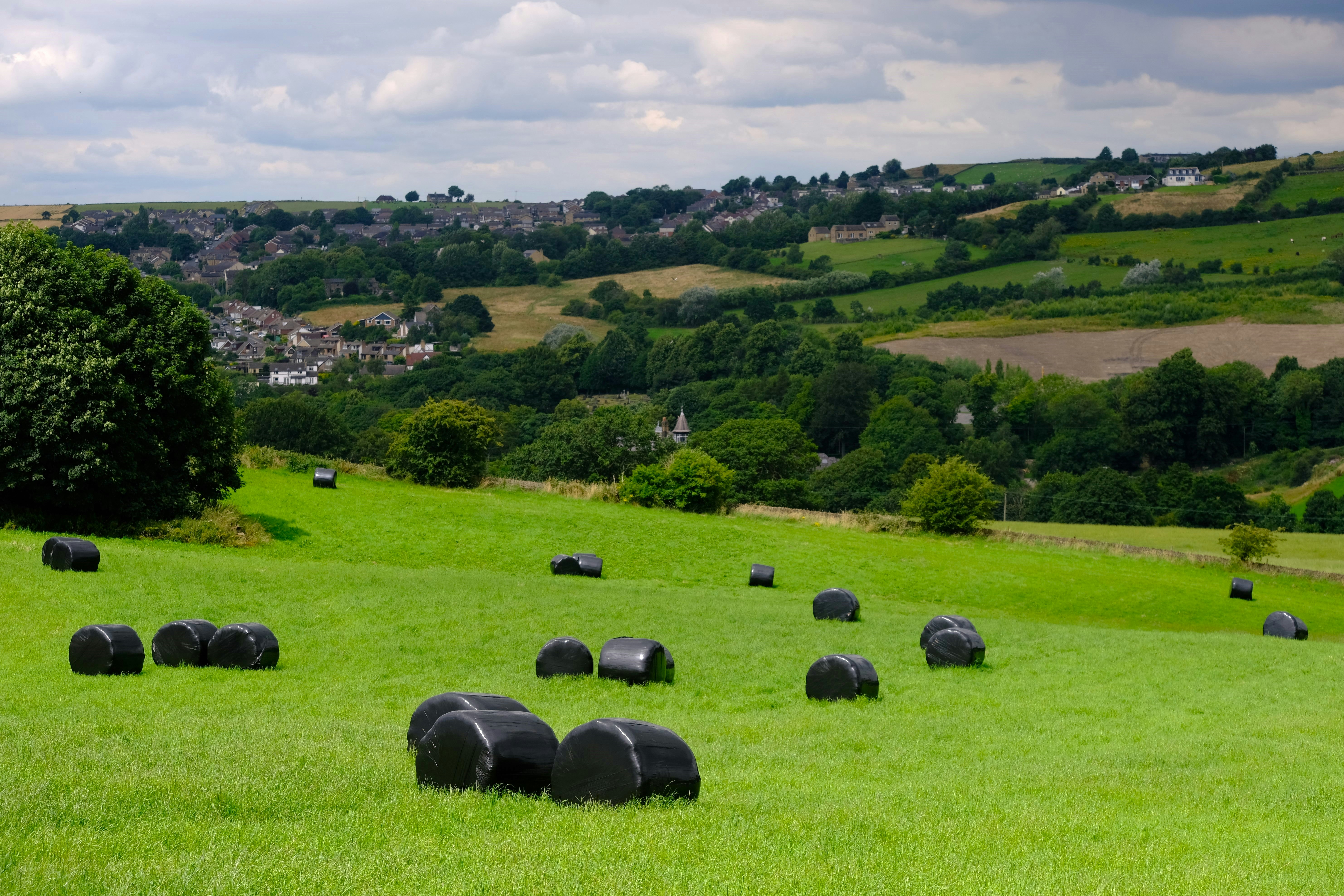 Photo by rory_tucker_photography