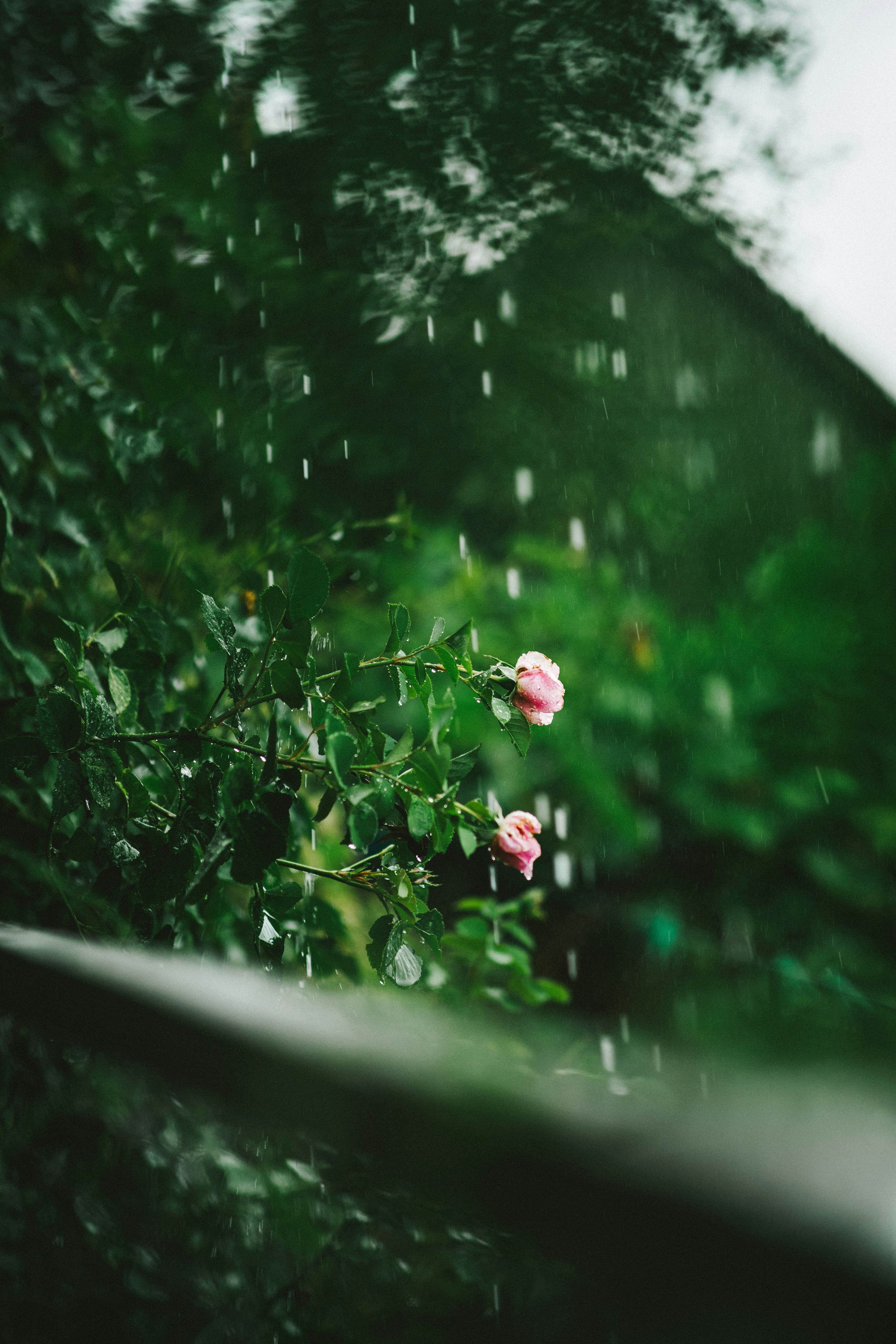 Photo by onmywayhome