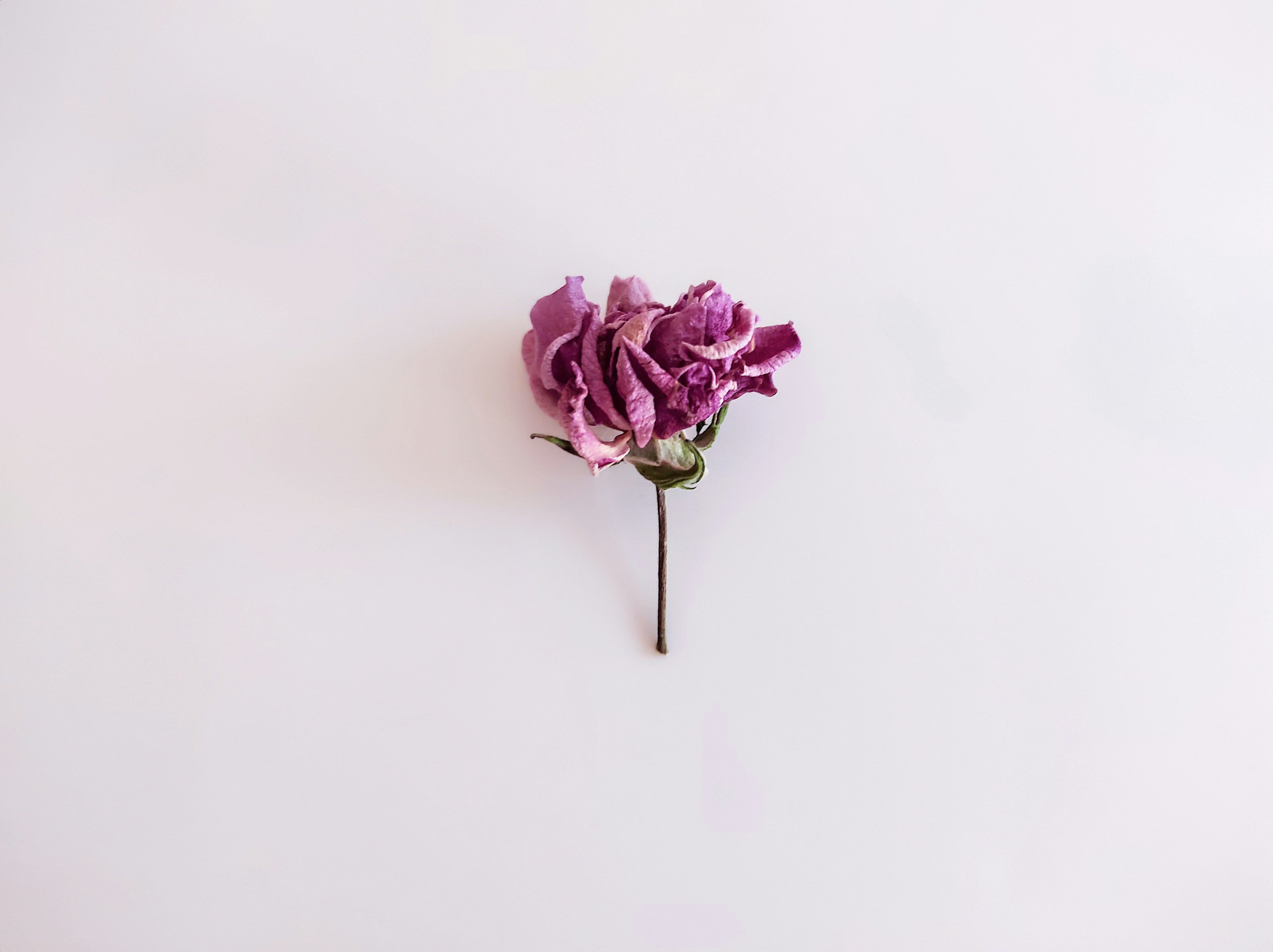 Photo by daniela_e_photography