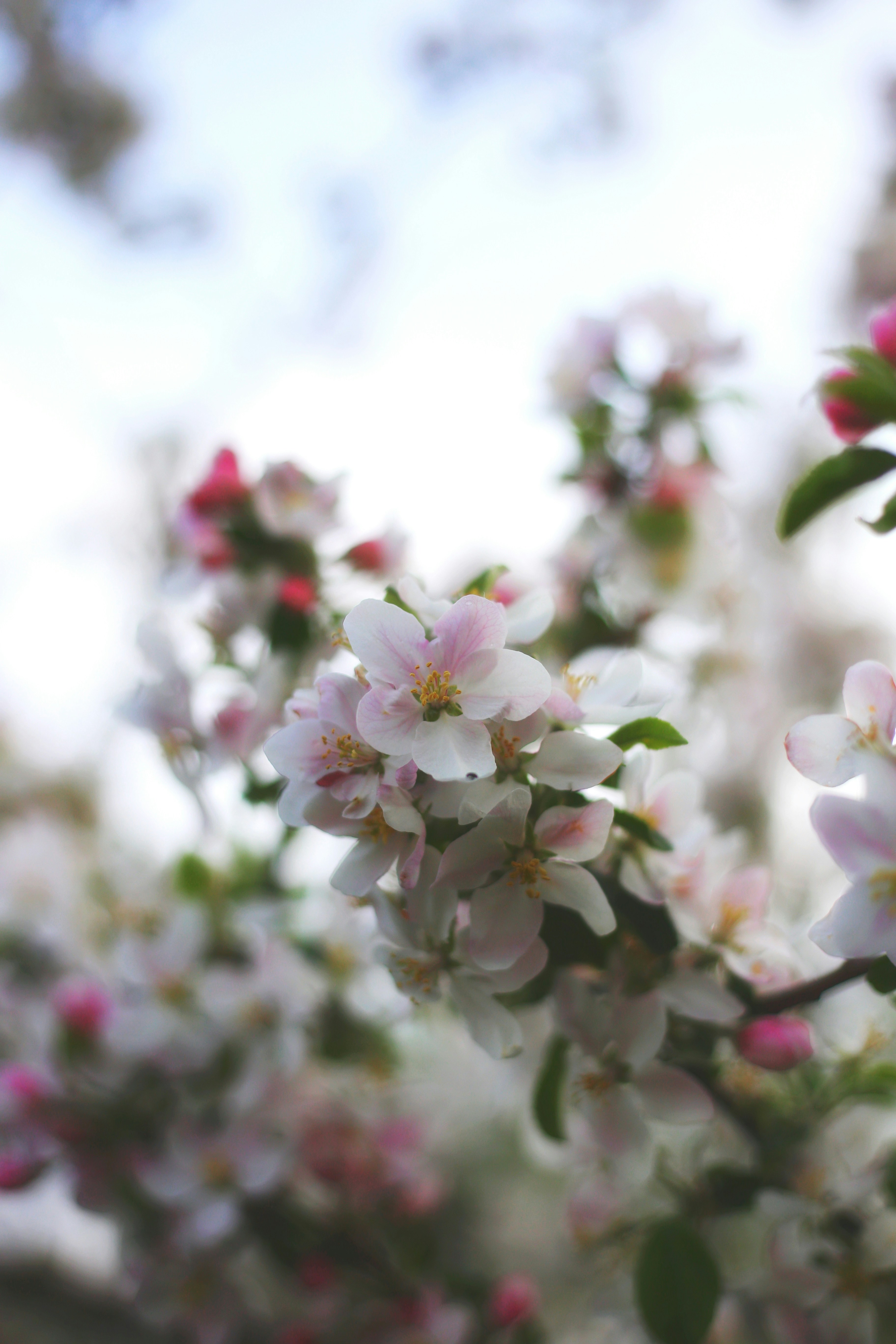 Photo by alexcooper13