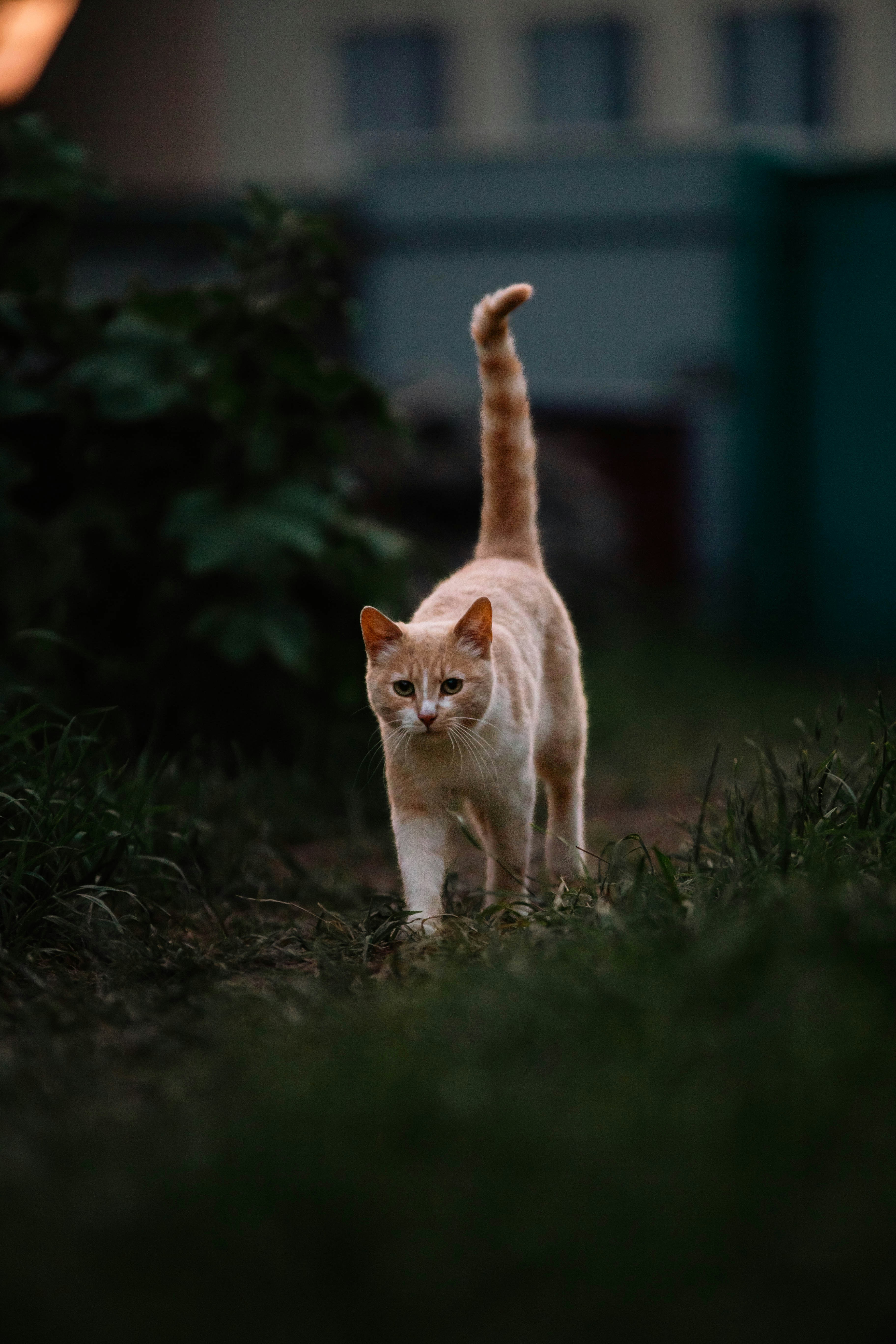 Photo by alexcooper13