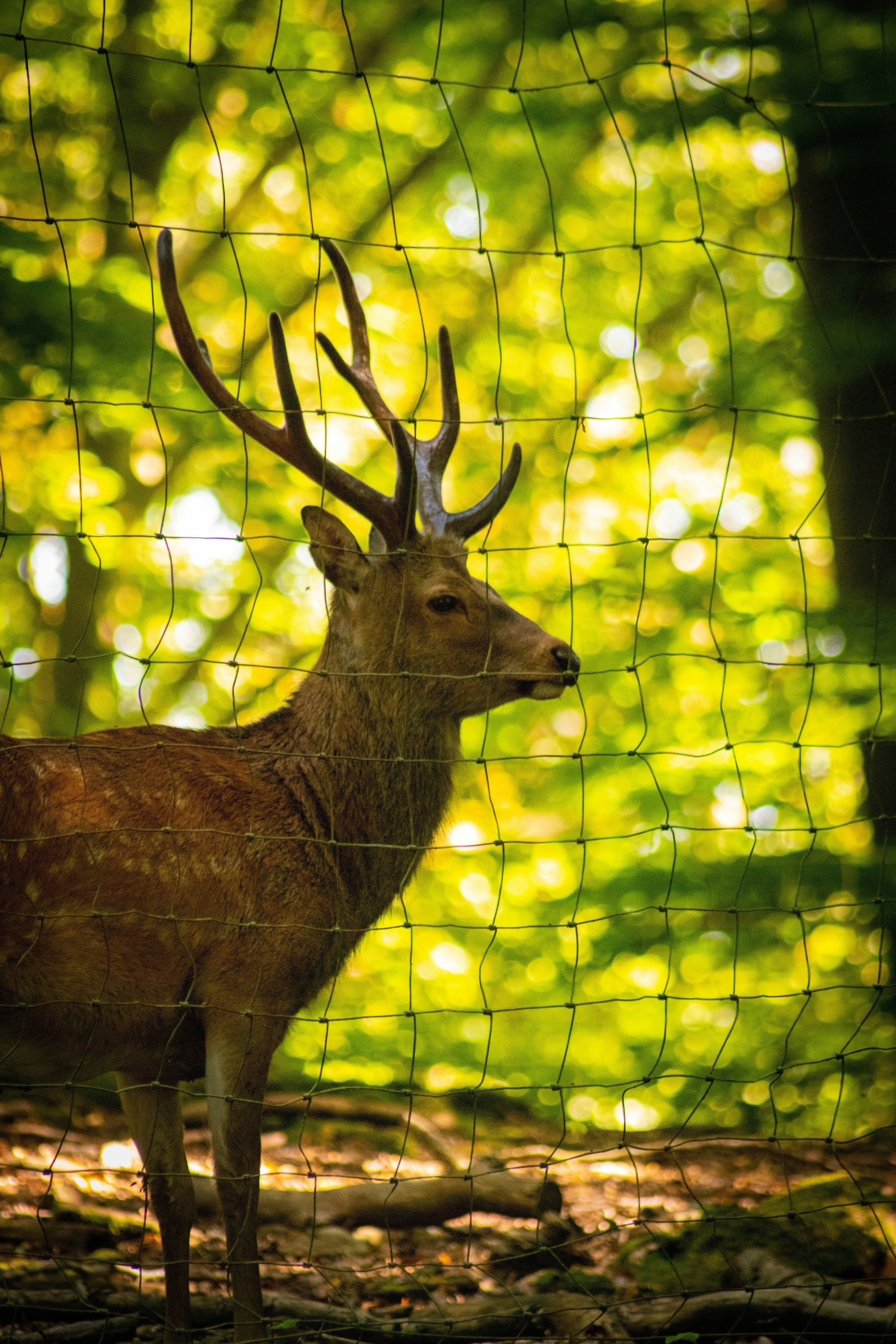 Photo by kemalberkaydogan