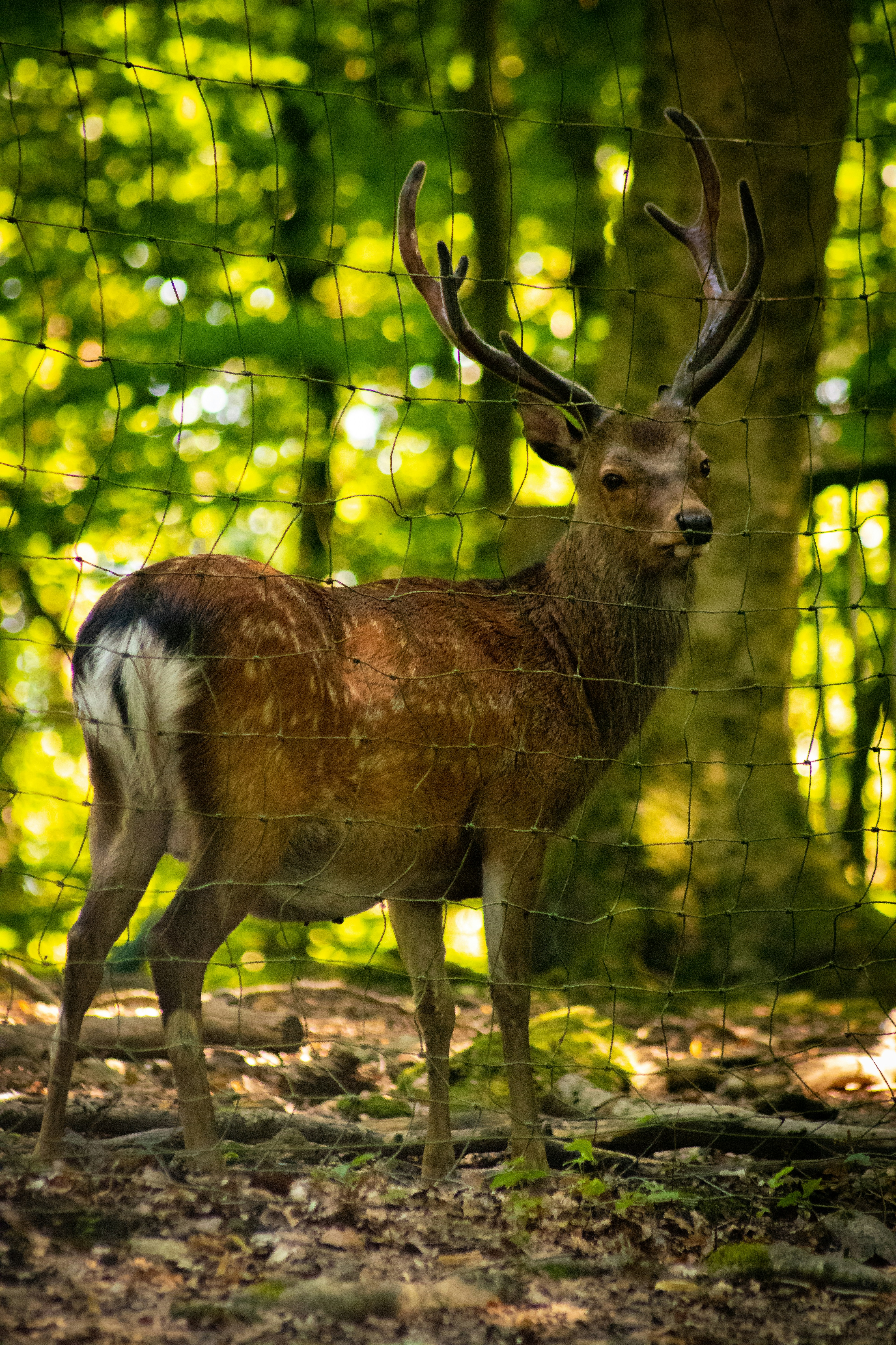 Photo by kemalberkaydogan