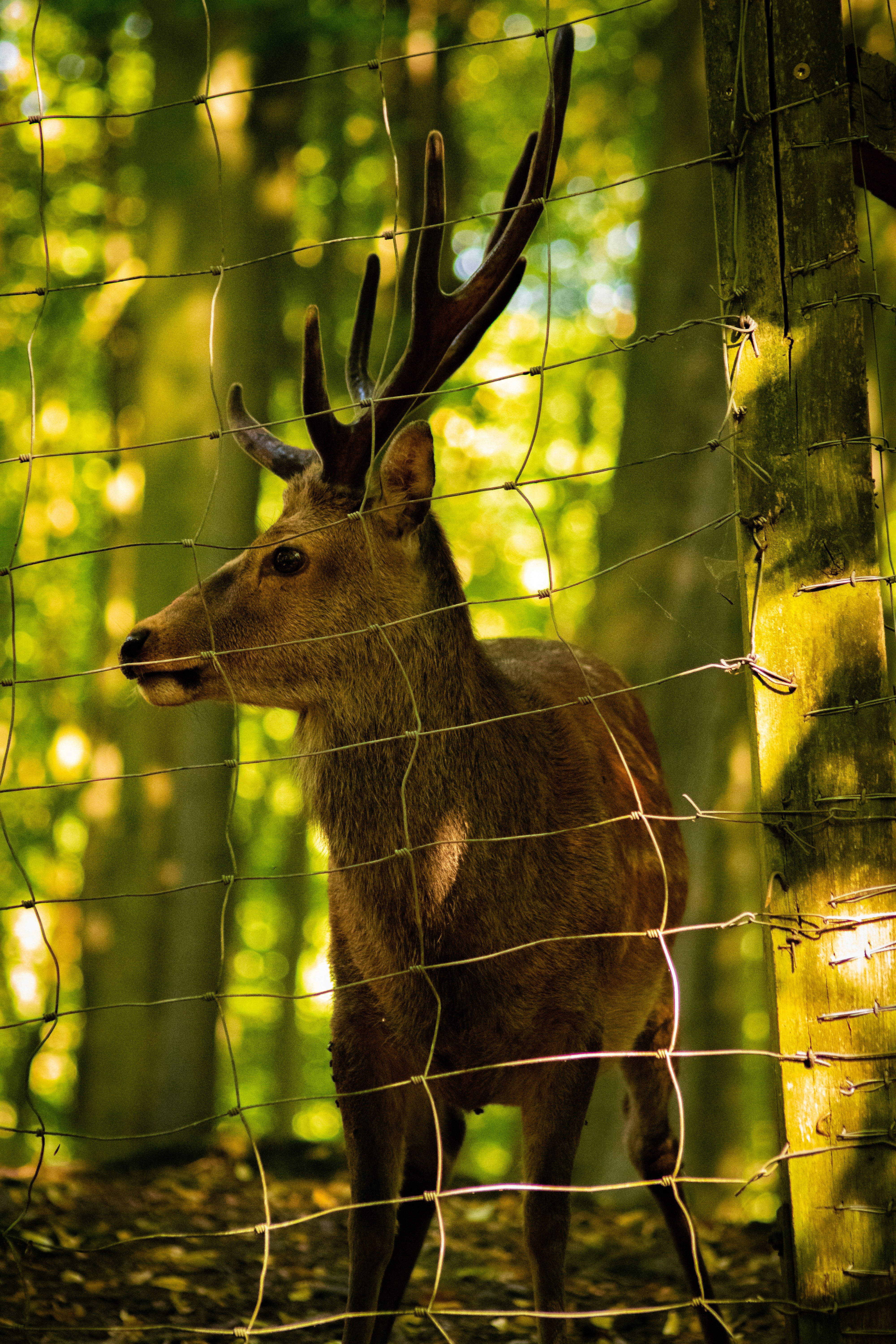 Photo by kemalberkaydogan