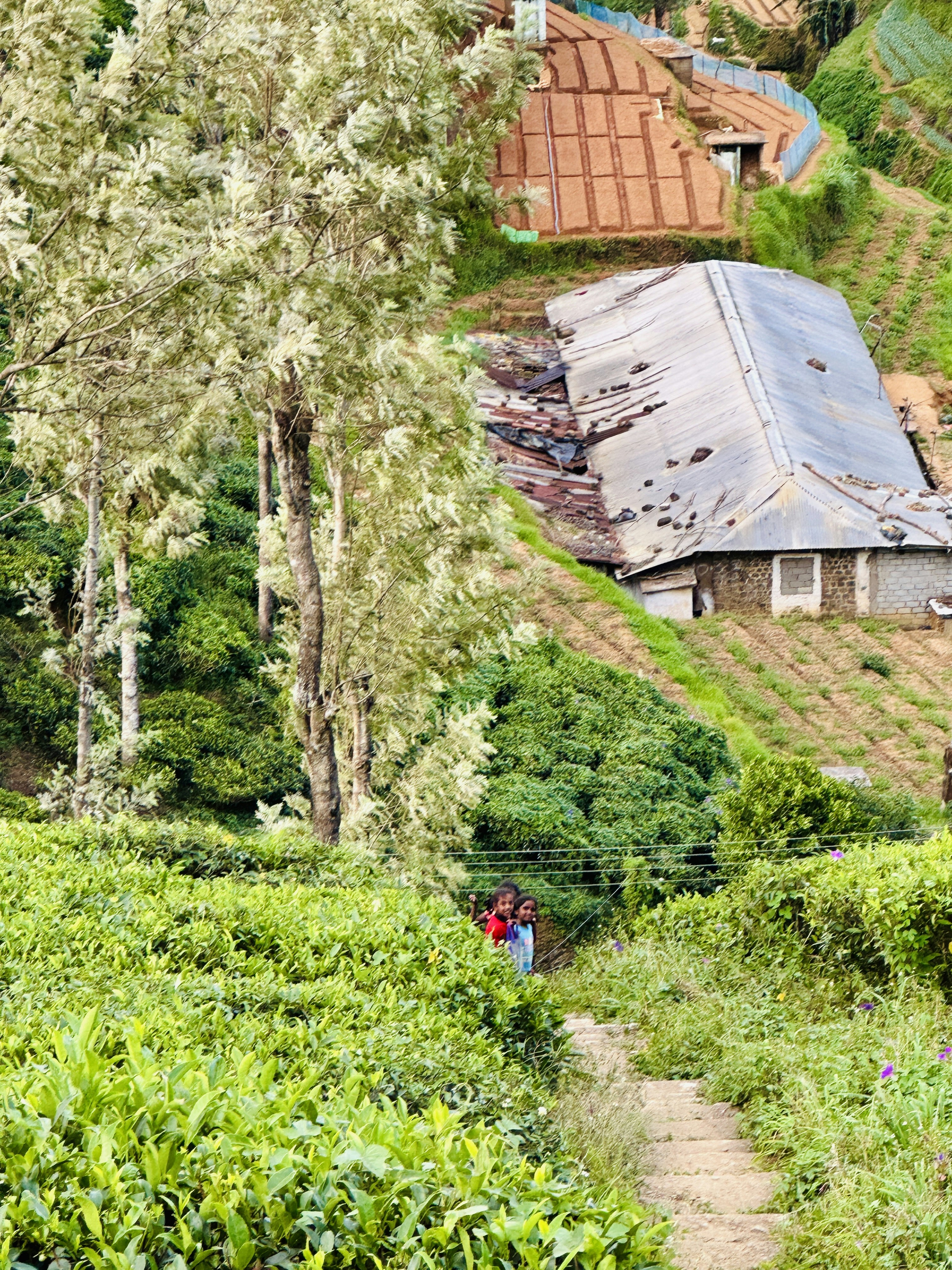 Photo by deepavalig