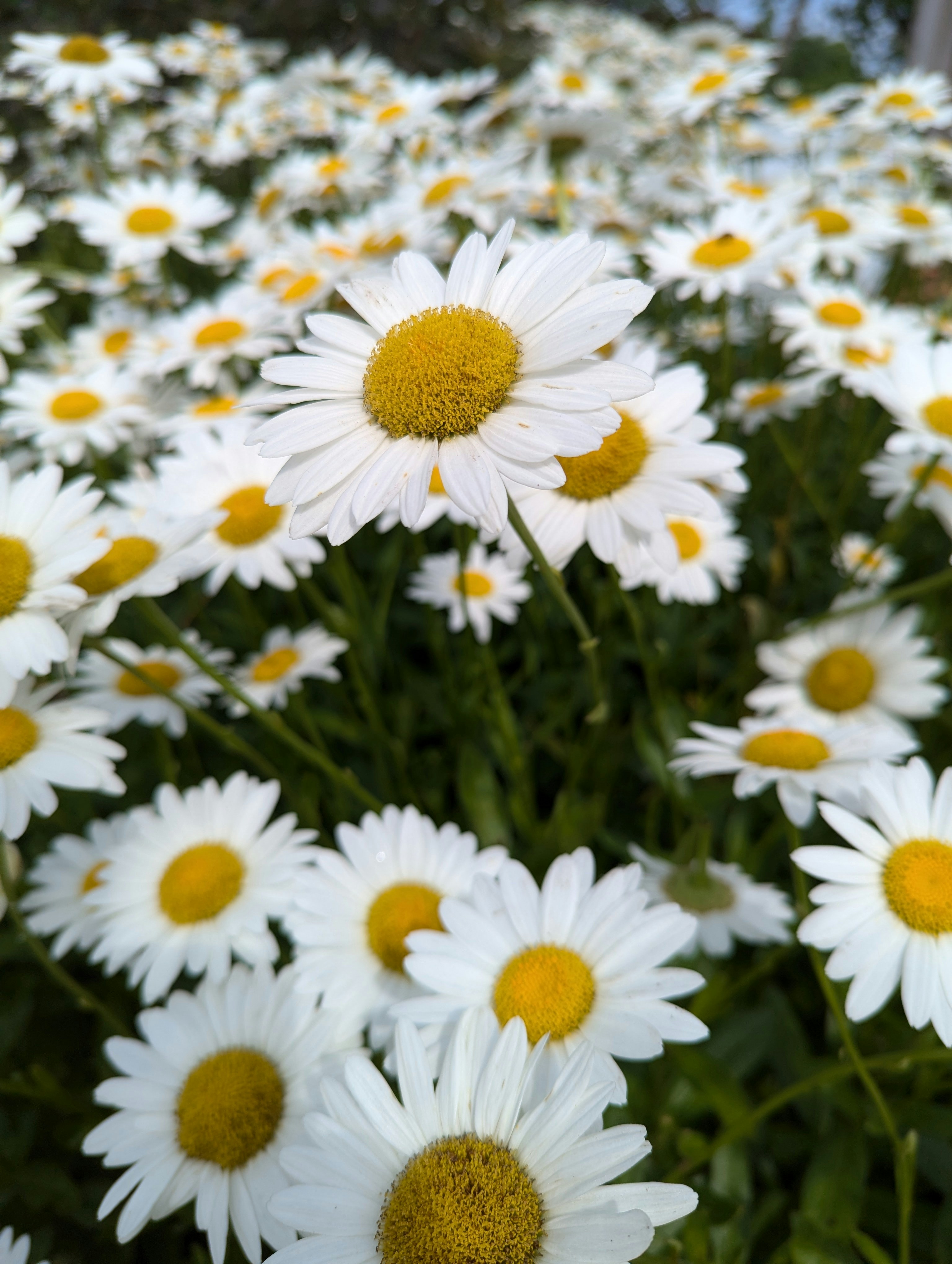 Photo by pixel_jones