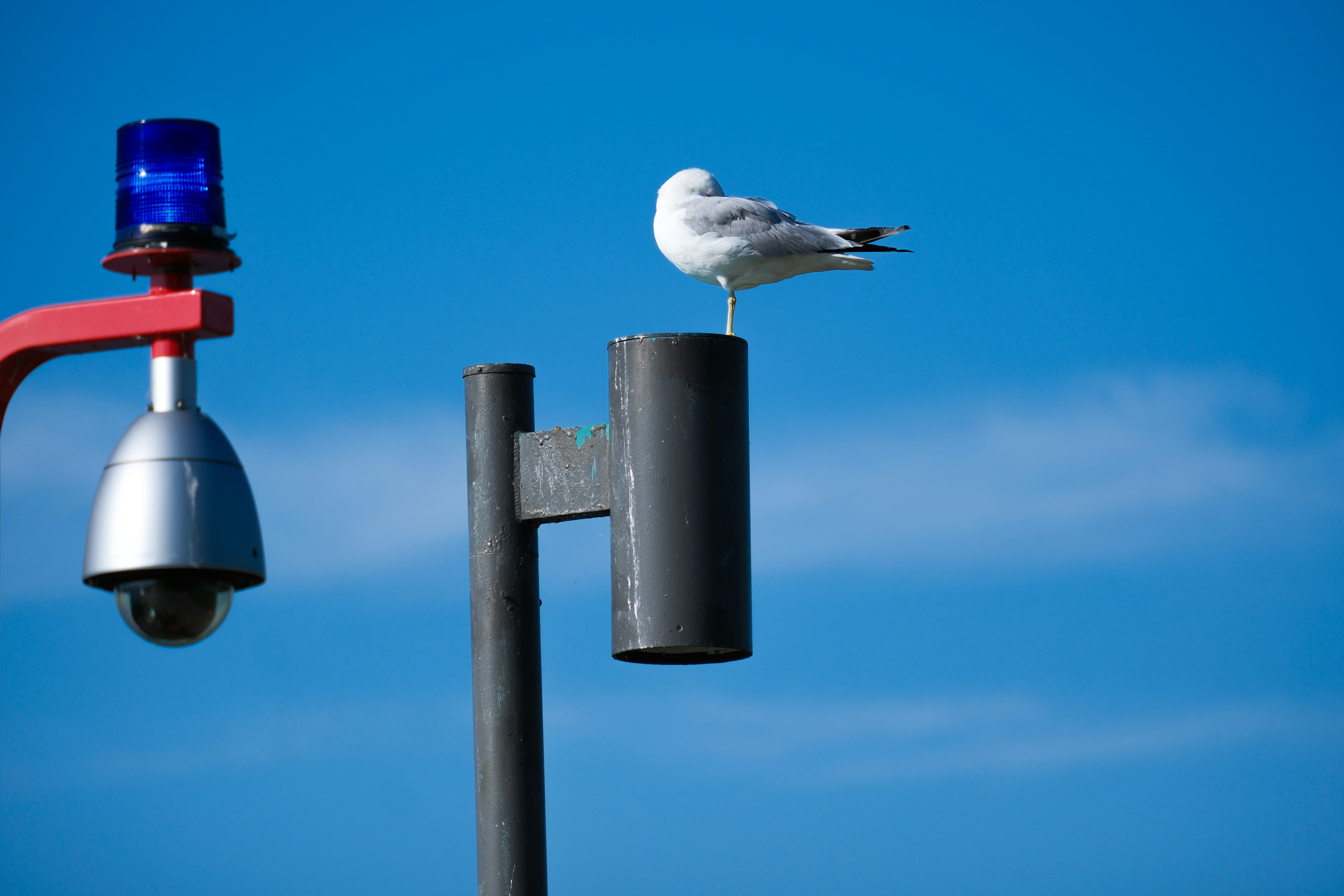 Photo by nirajsikligar