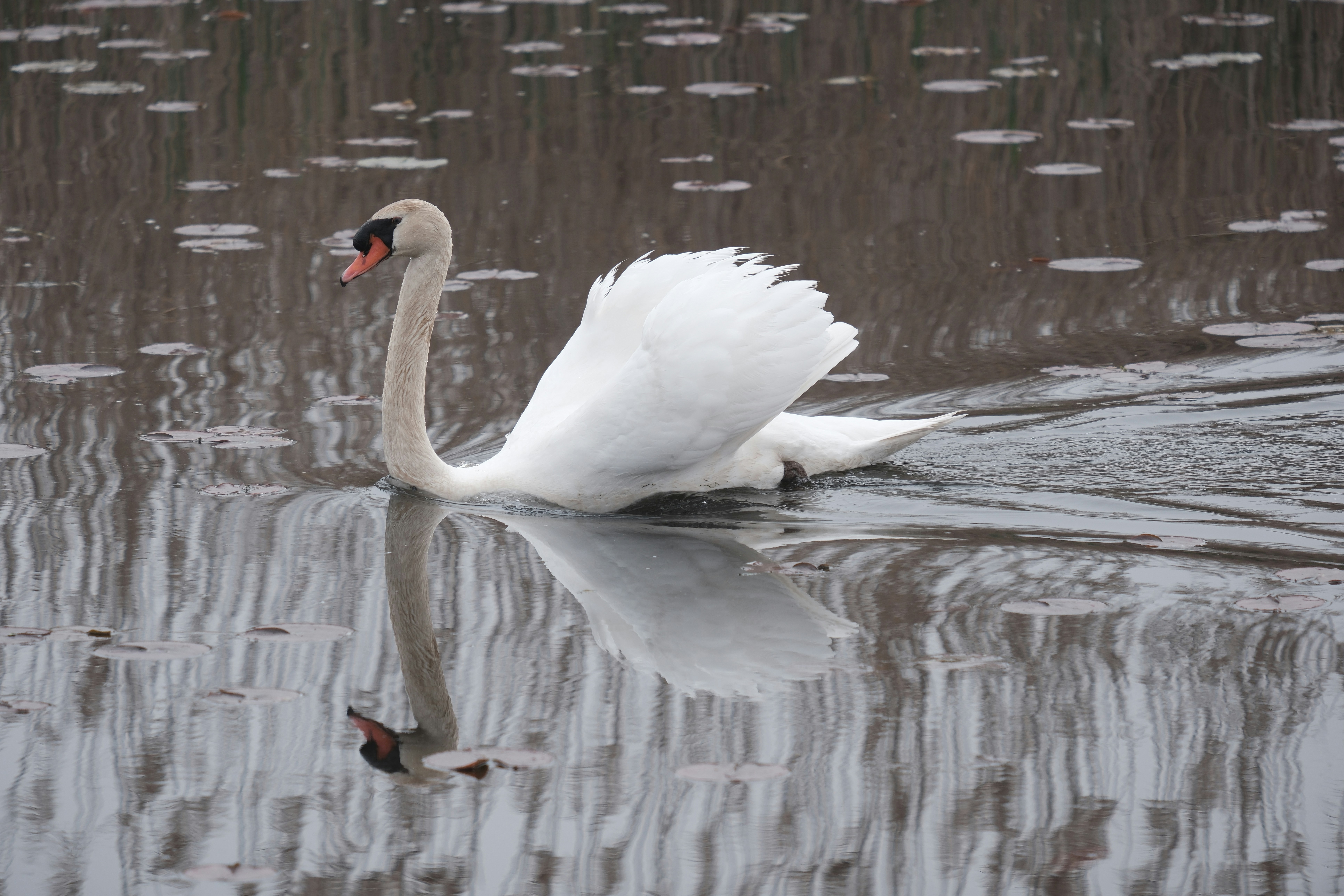 Photo by nirajsikligar