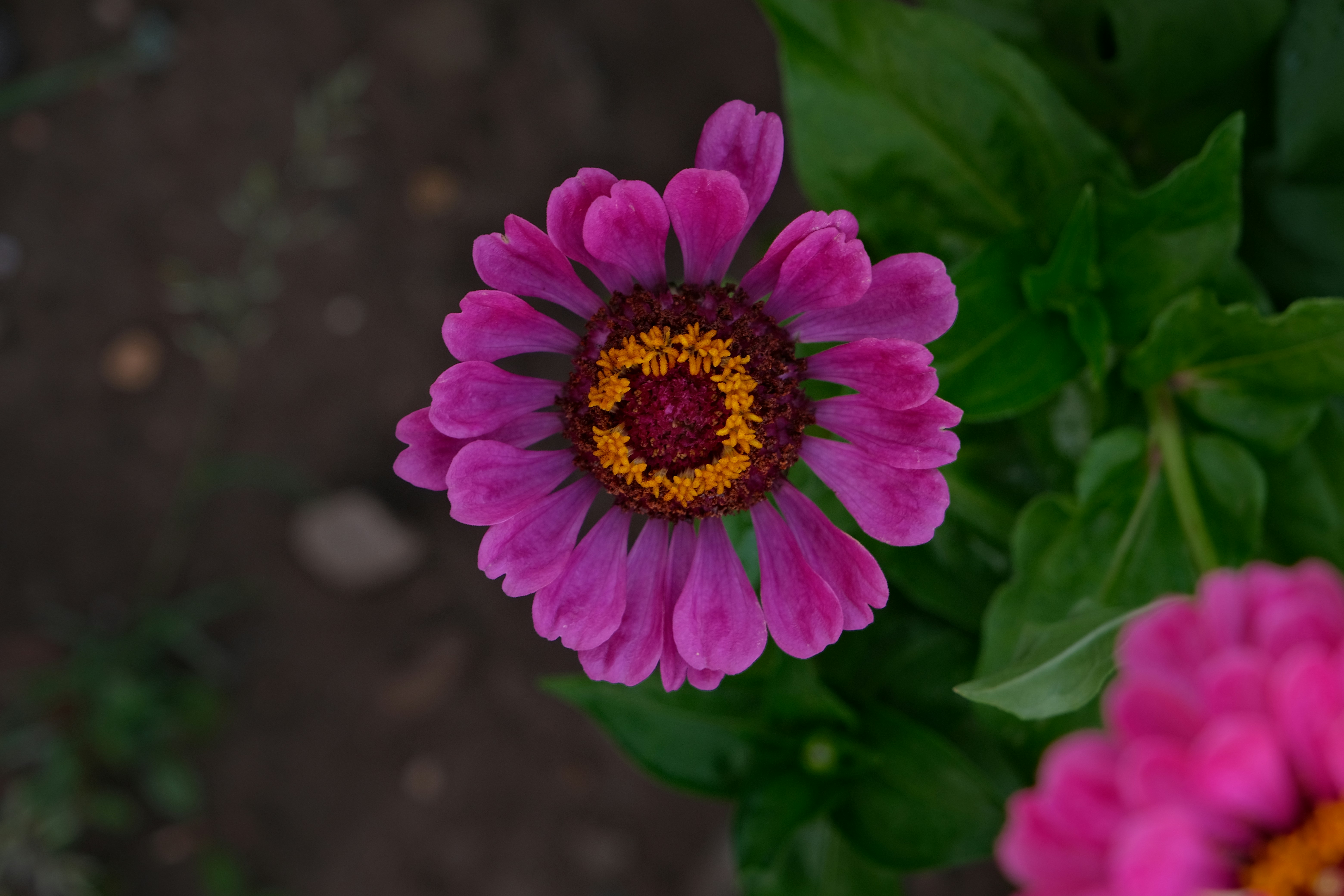 Photo by amadeusmoga