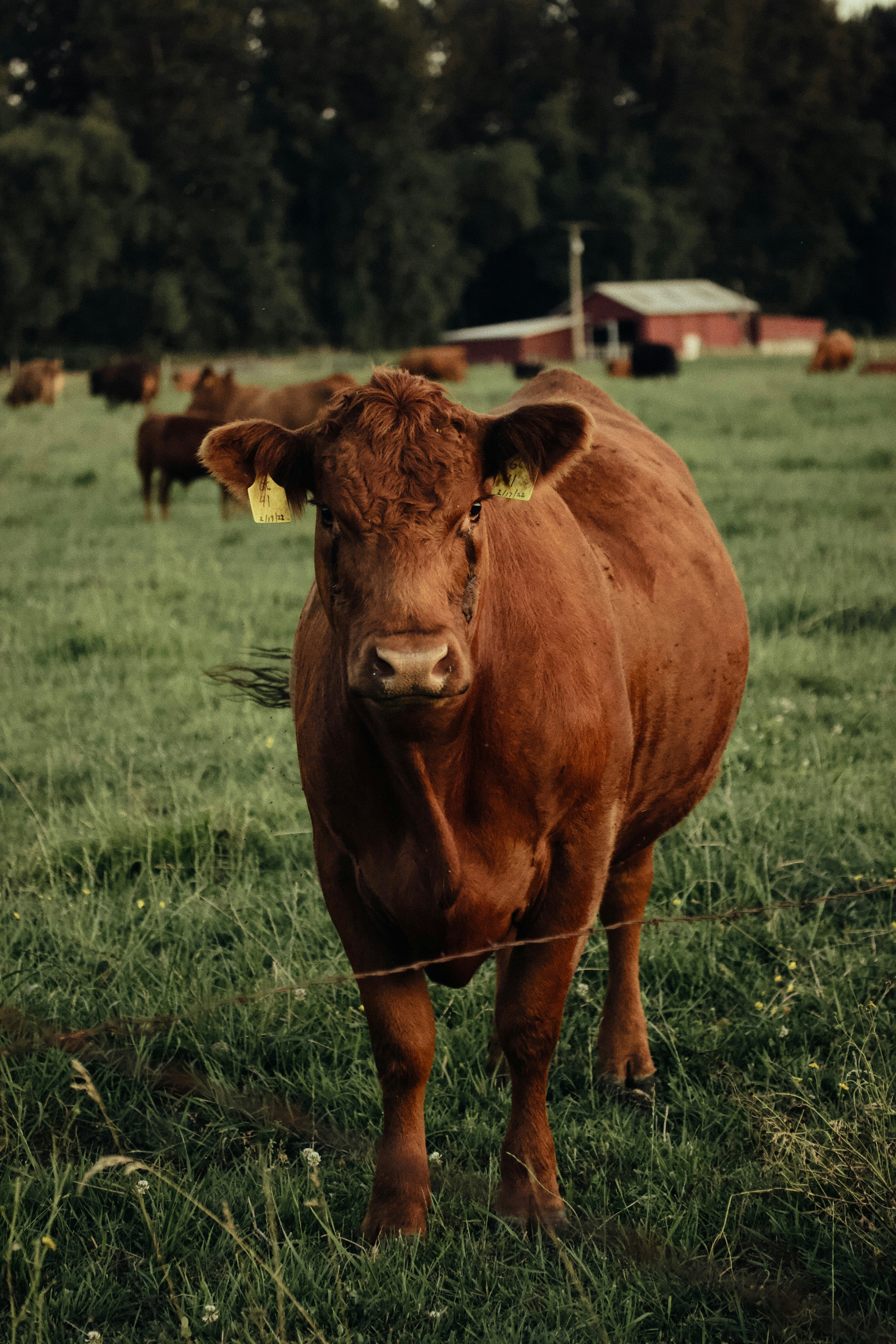 Photo by fickesphotos