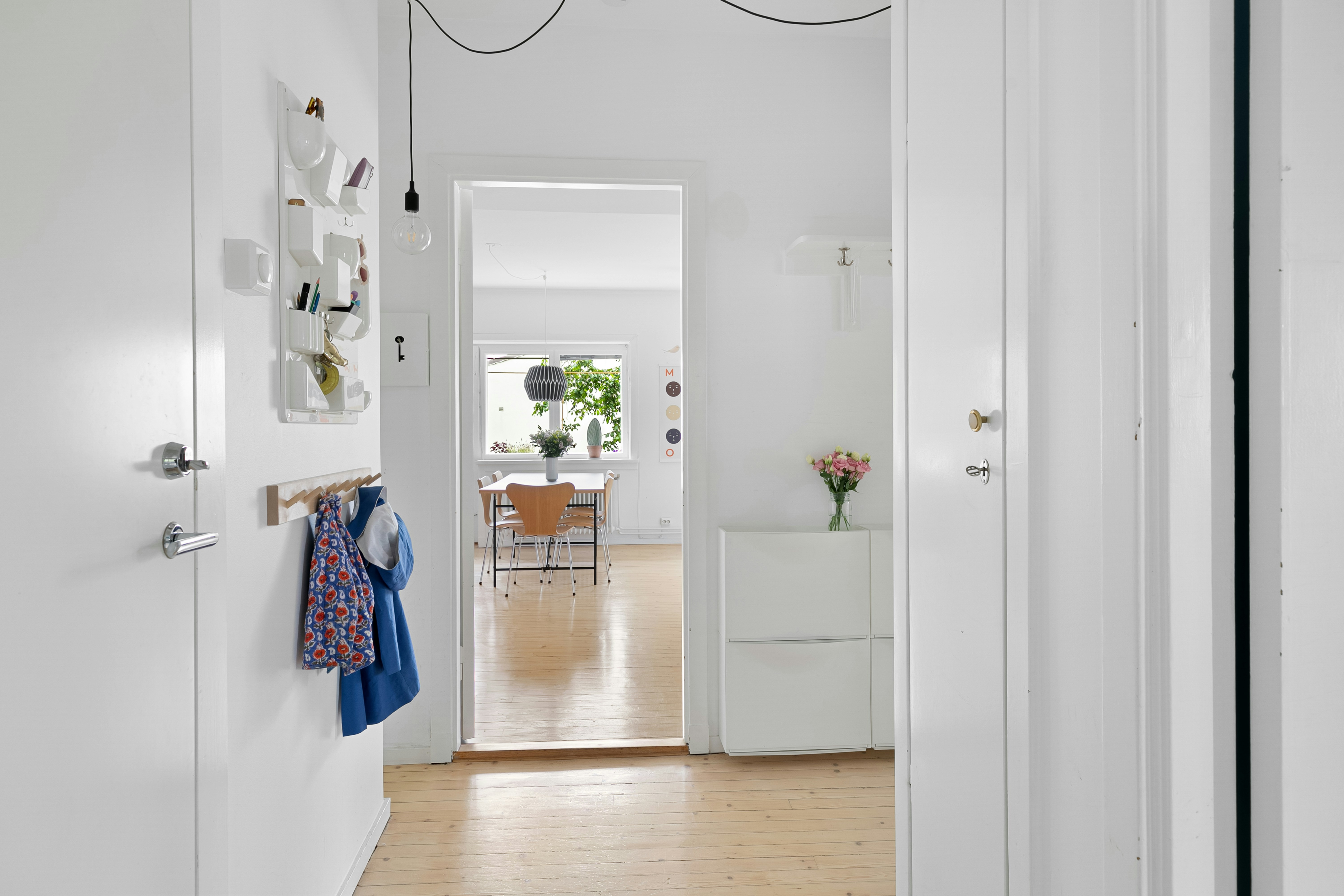 Photo by alextyson195