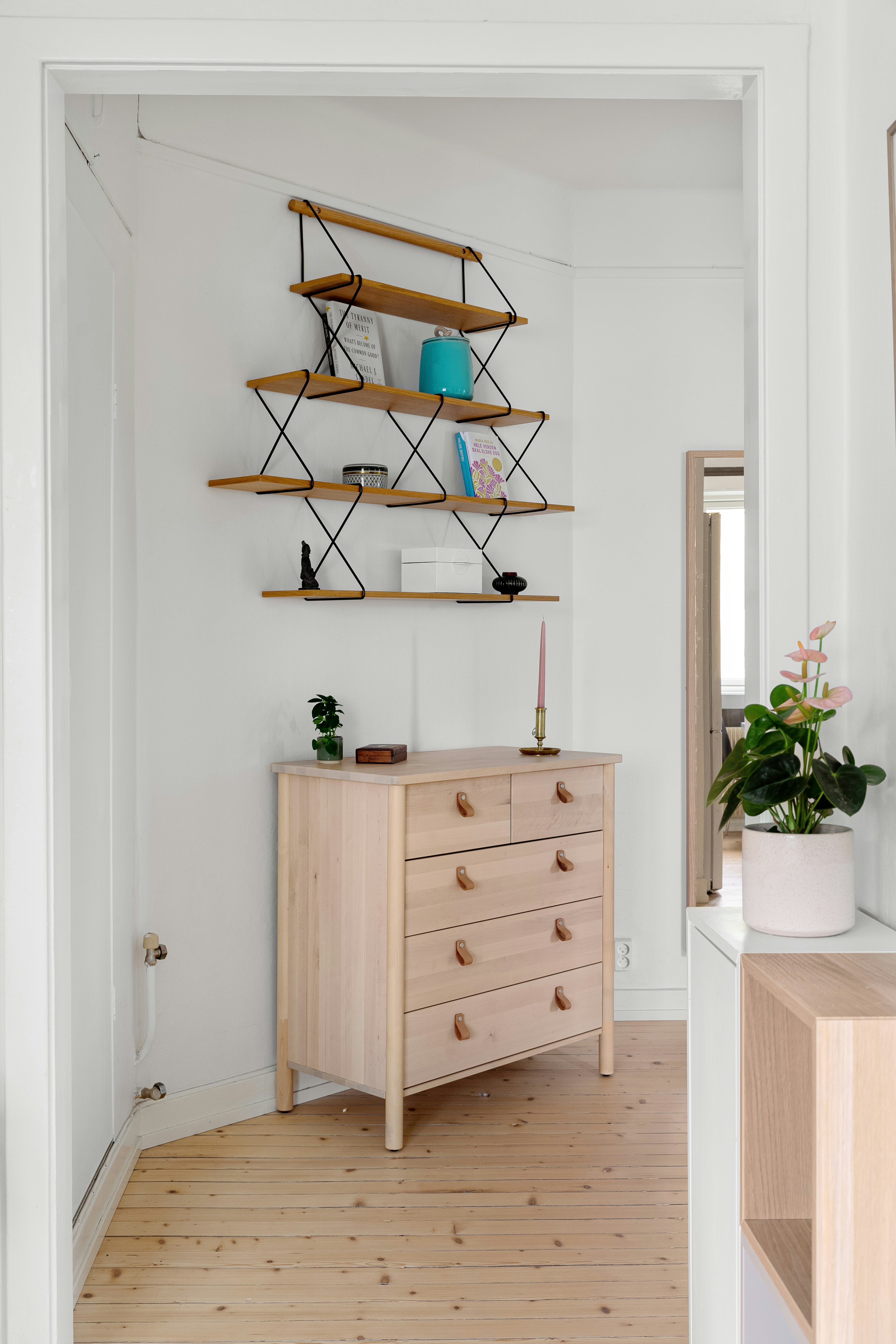 Photo by alextyson195