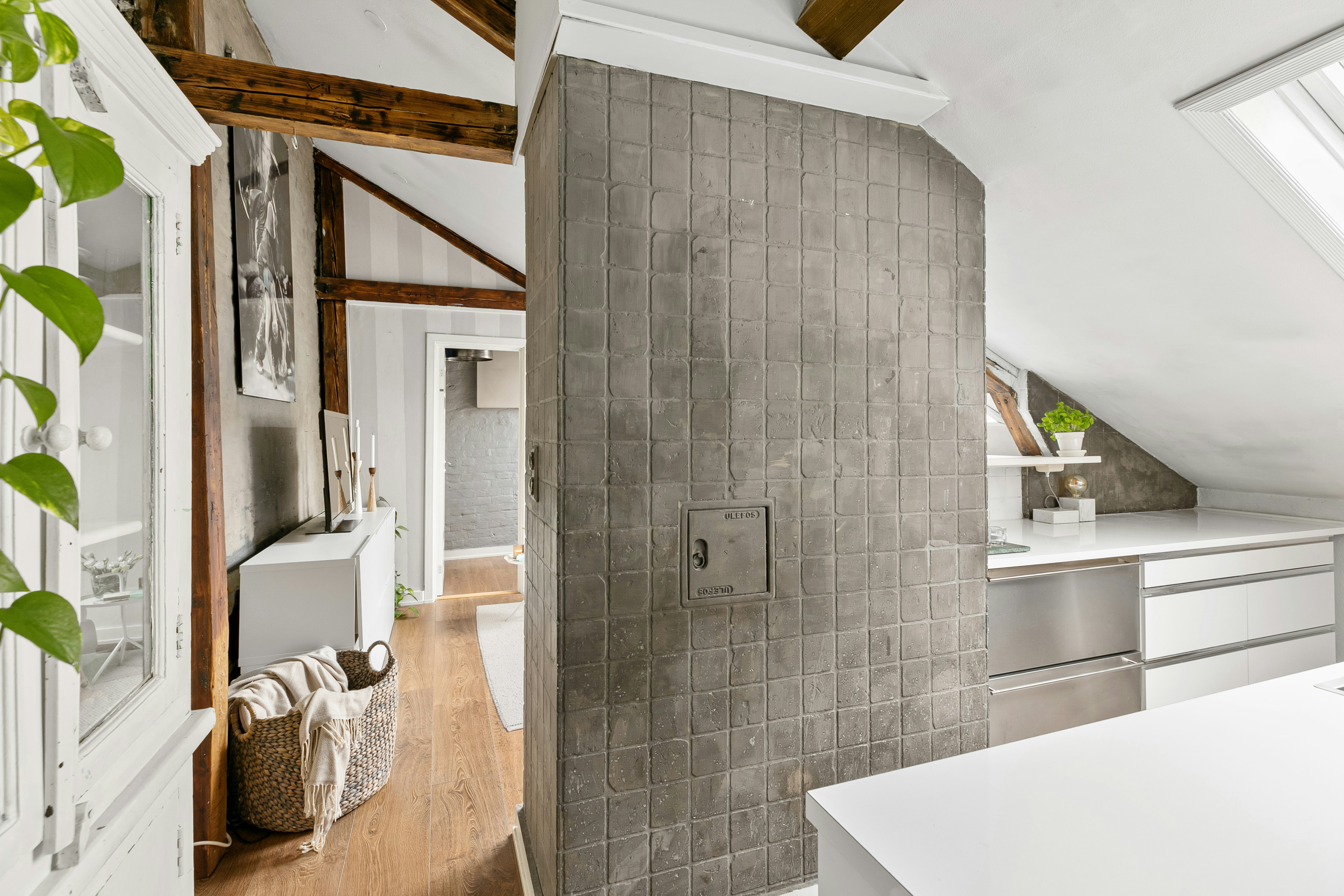 Photo by alextyson195