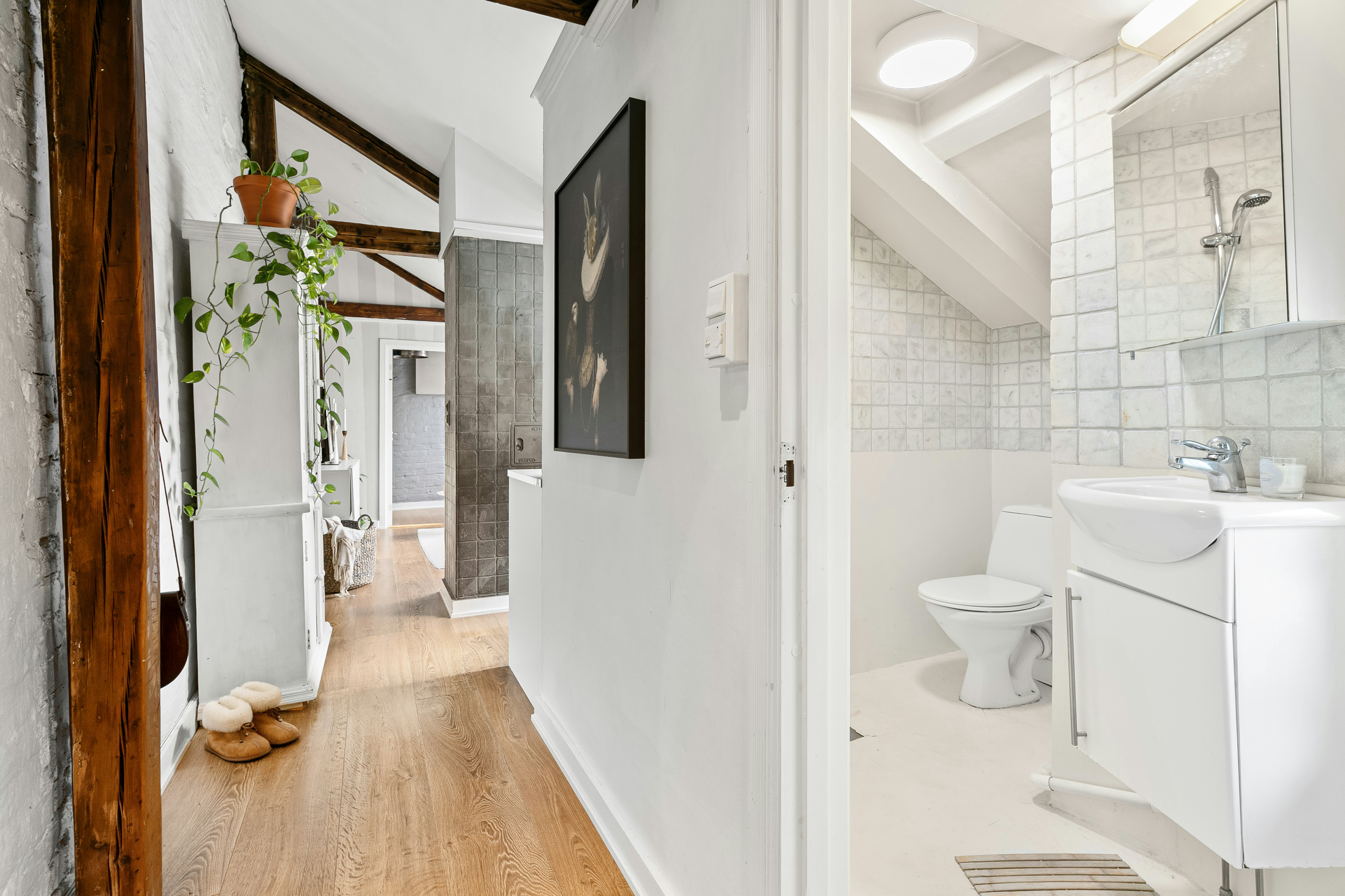 Photo by alextyson195