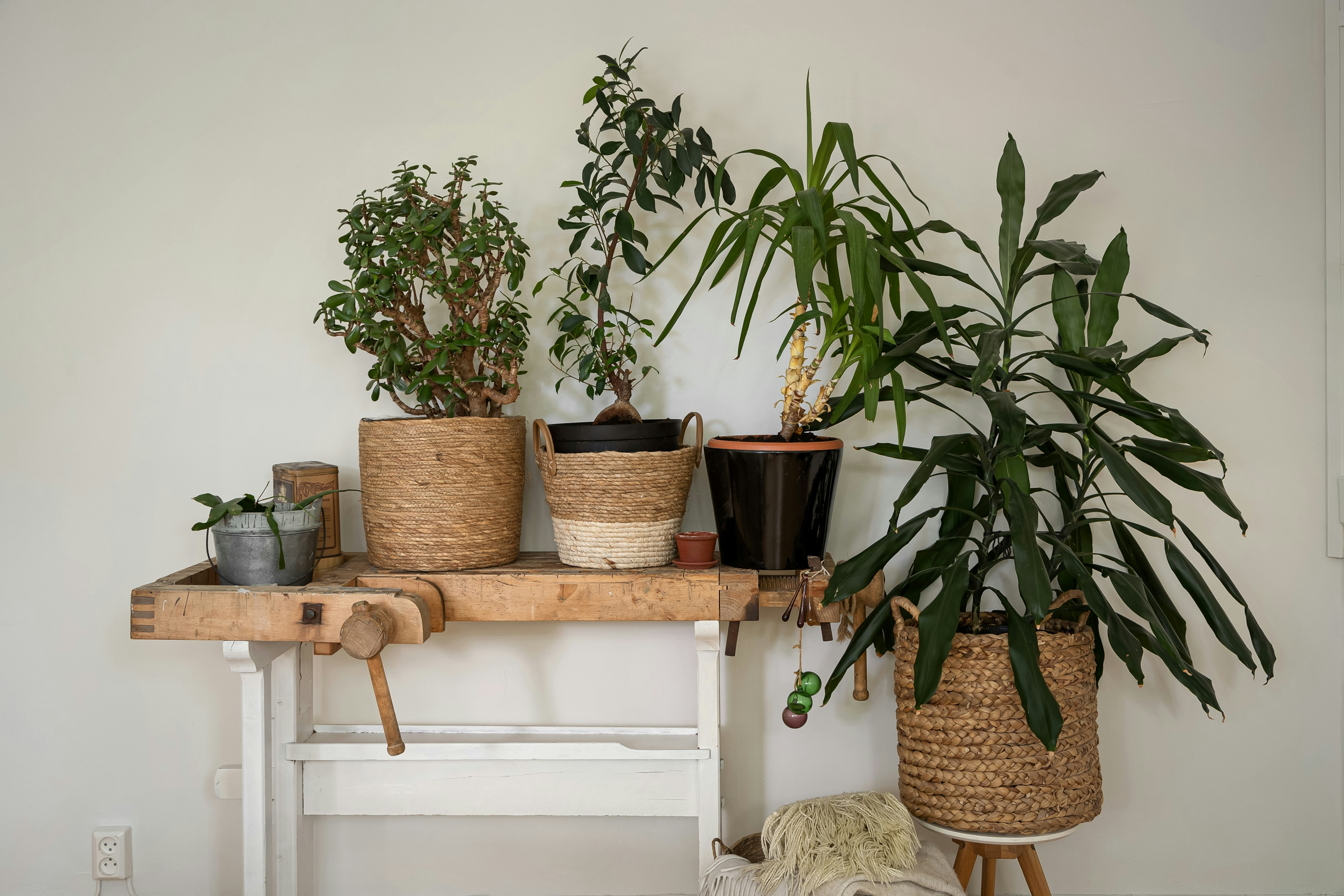 Photo by lisaanna195