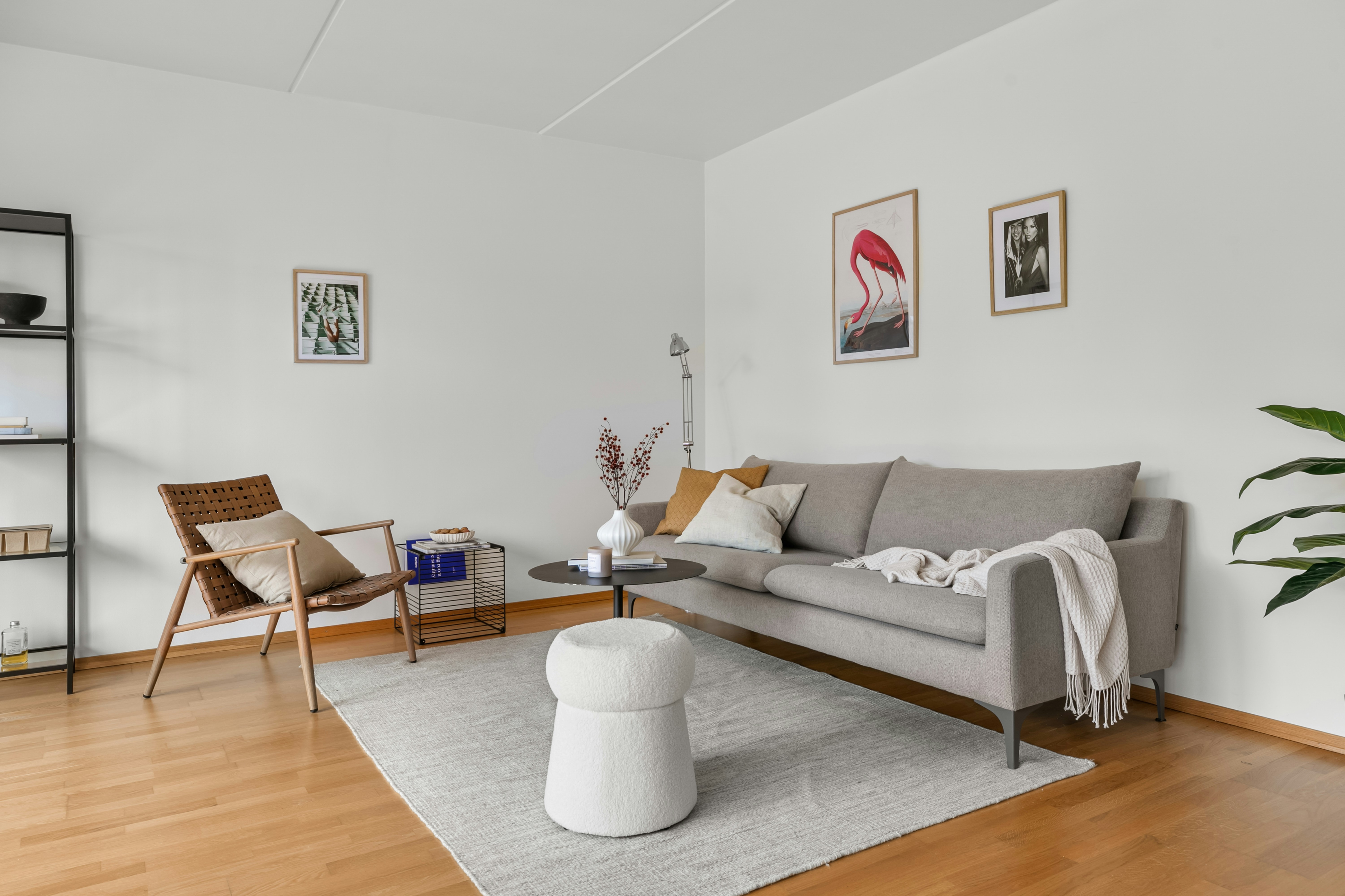 Photo by alextyson195