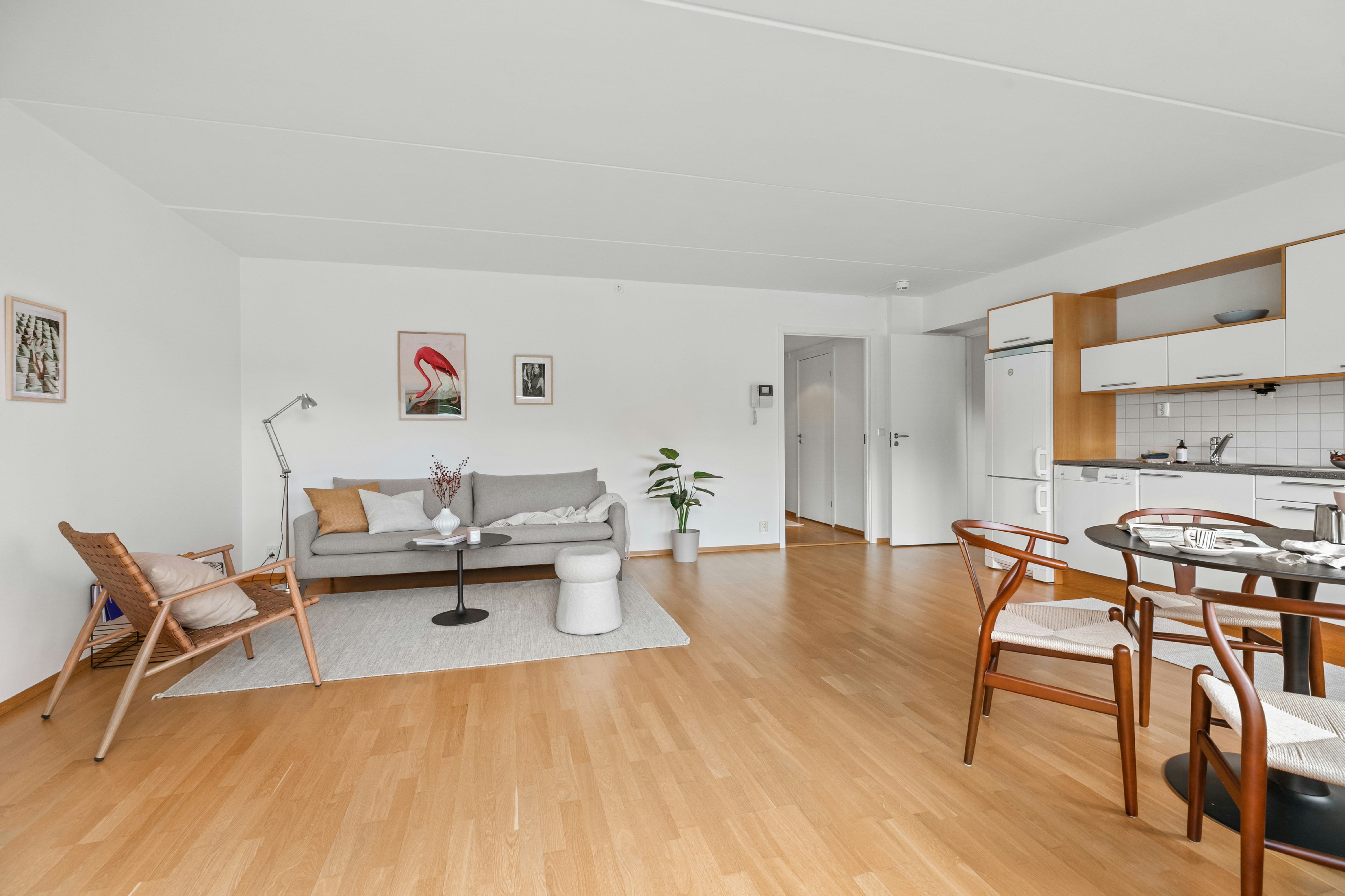 Photo by alextyson195