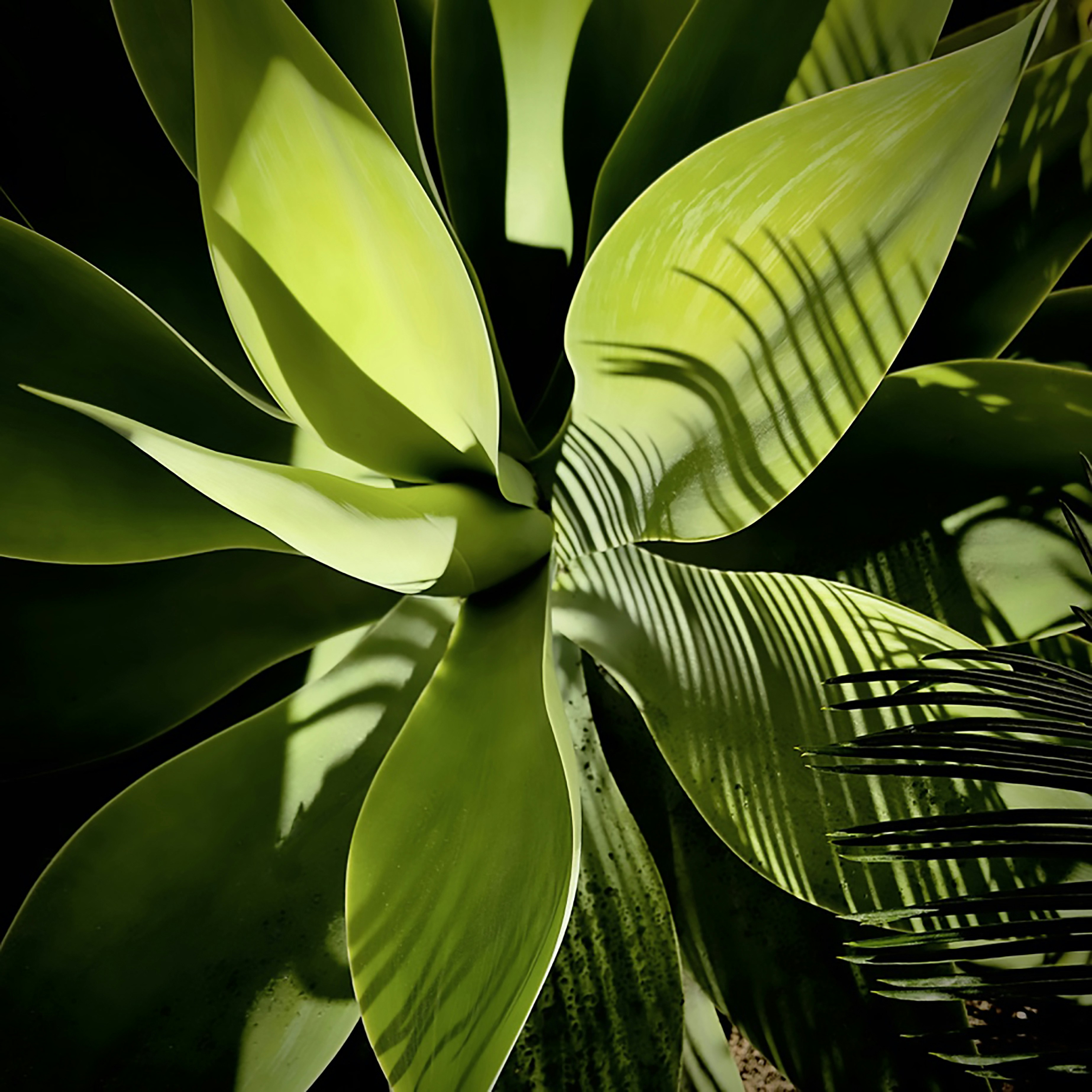 Photo by insinuwendell