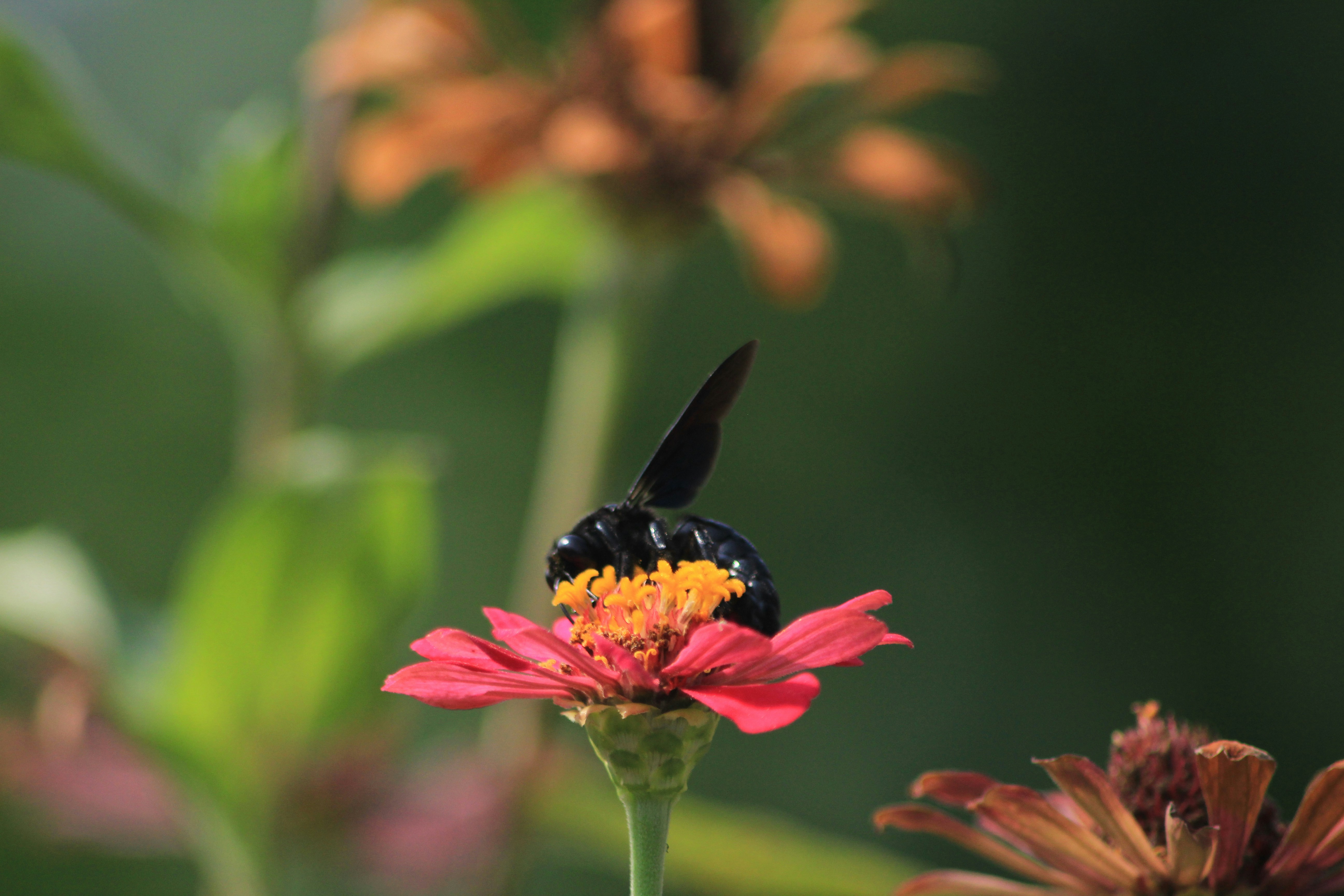 Photo by thisisgeipenko