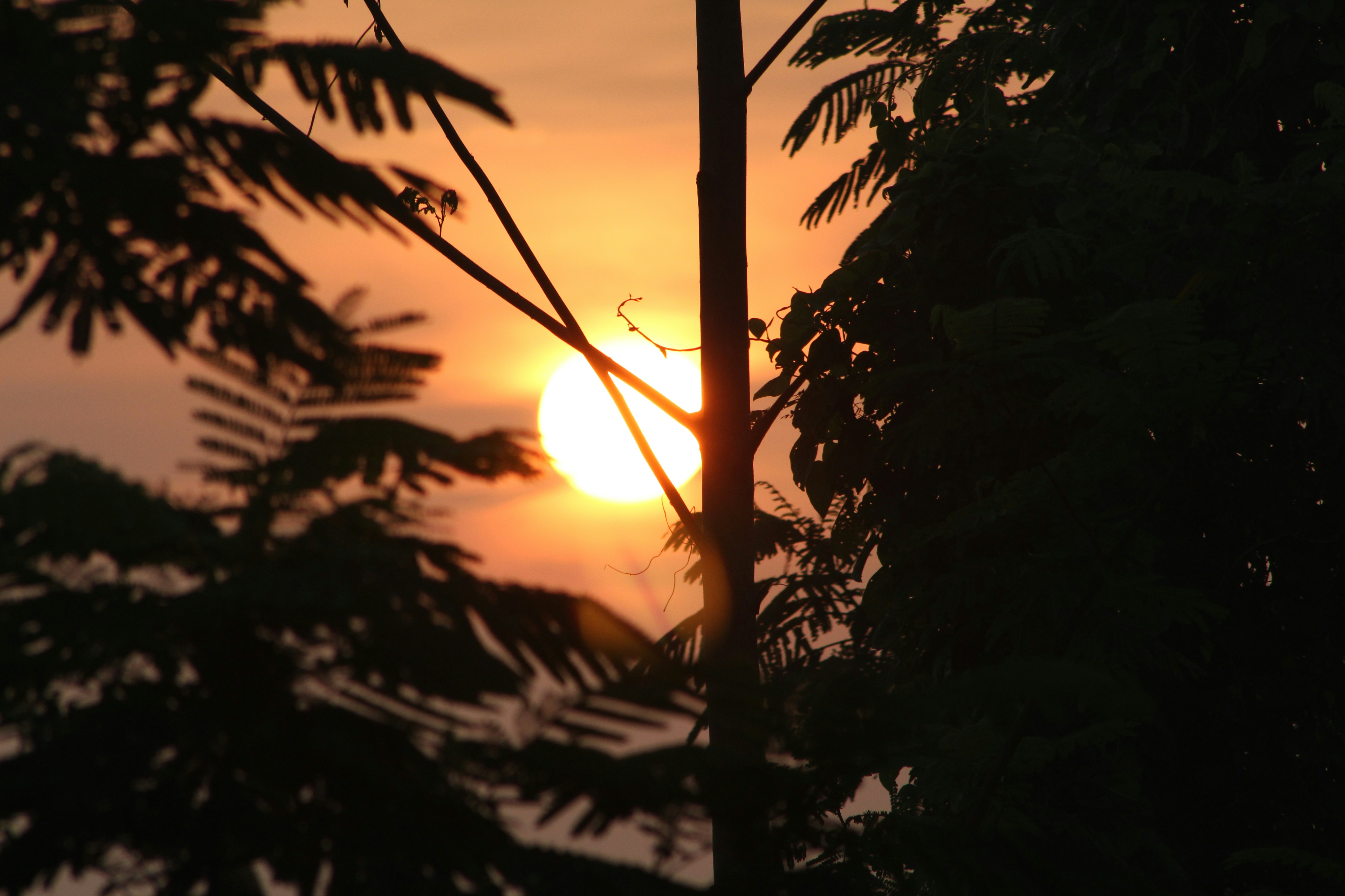 Photo by thisisgeipenko