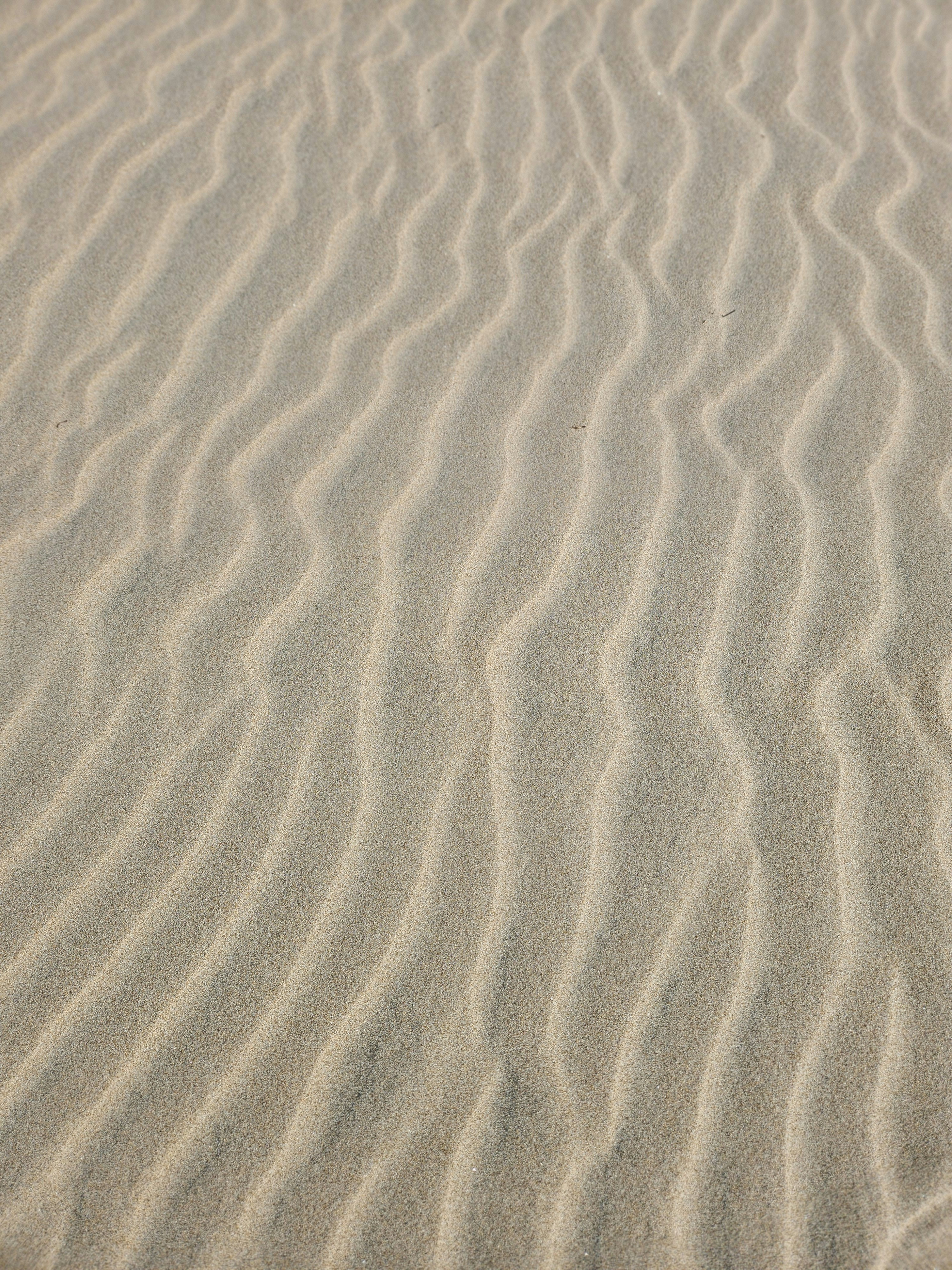 Photo by hockeygeekyguy