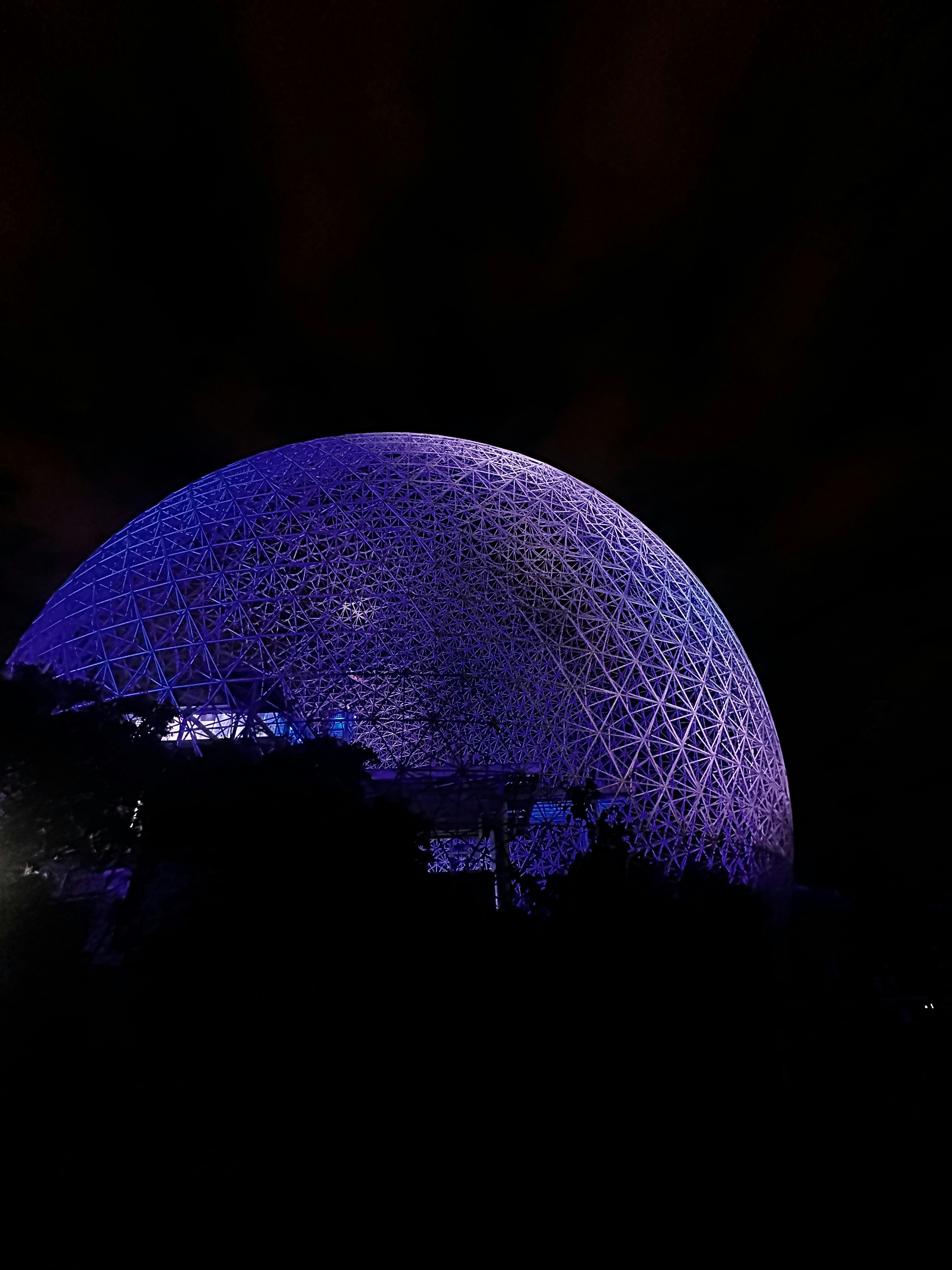 A large blue ball sitting in the middle of a forest