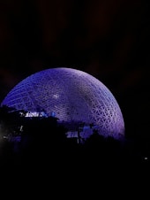 A large blue ball sitting in the middle of a forest