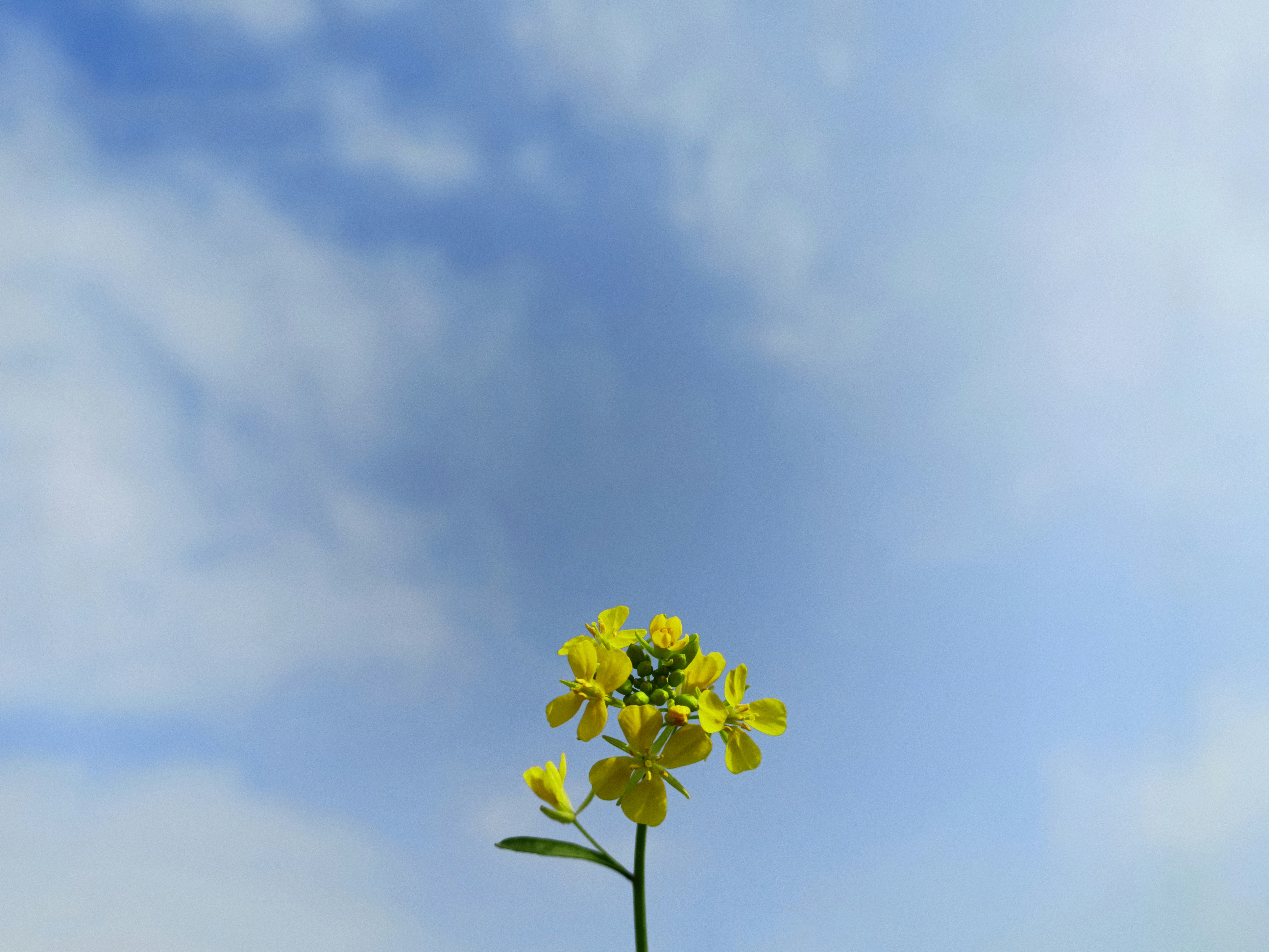 Photo by boywidlens_