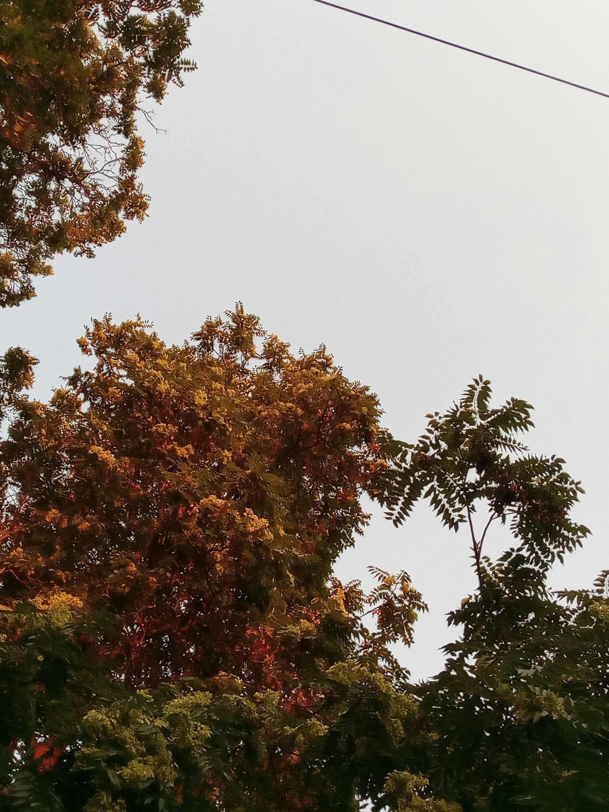 Photo by lana_noelhem