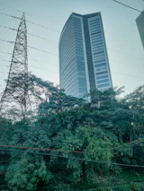 A tower beside a green forest